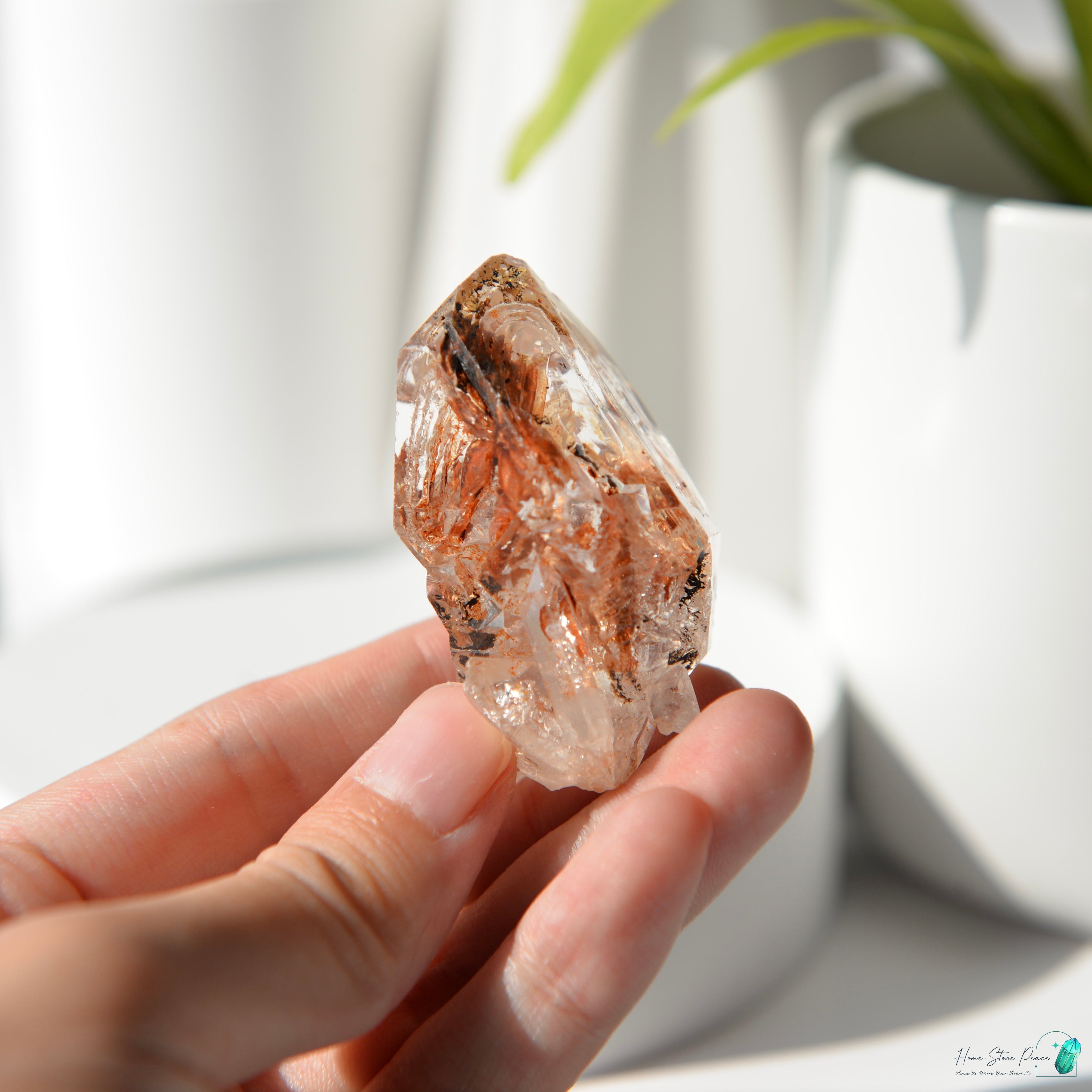 <tc>マダガスカル骨格クォーツ</tc>