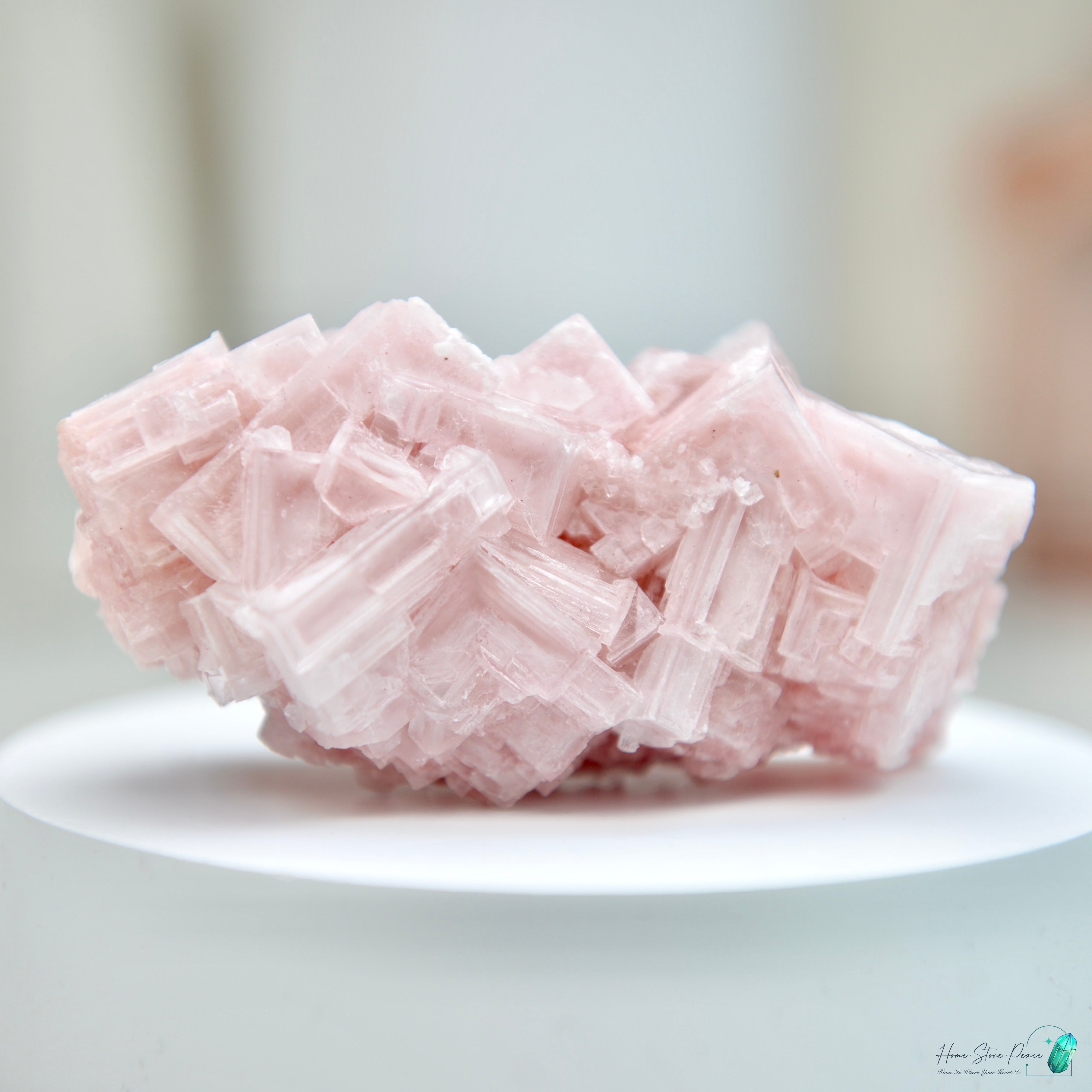 塞爾斯湖粉紅鹽礦 天然サールズ湖 ピンク岩塩