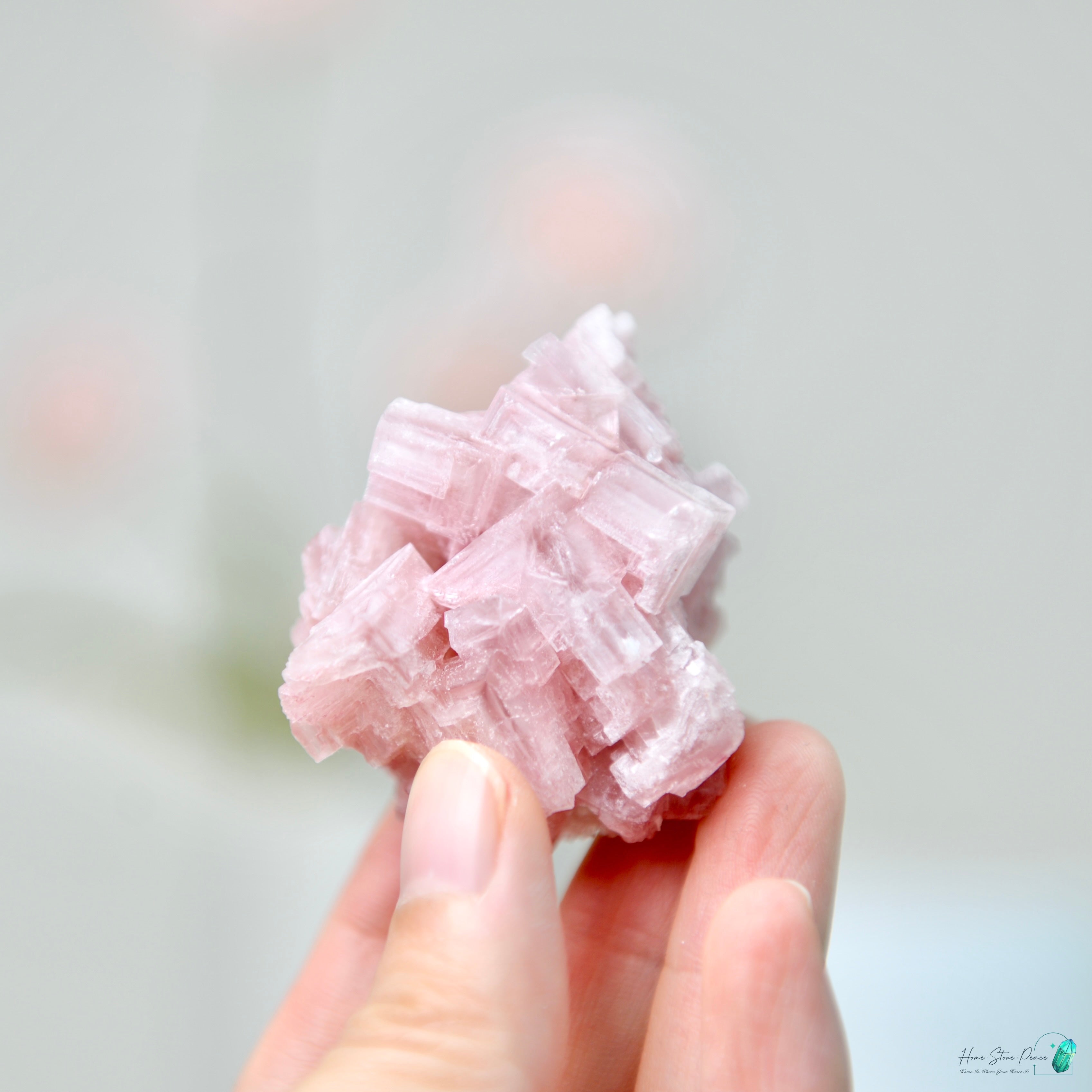 塞爾斯湖粉紅鹽礦 天然サールズ湖 ピンク岩塩