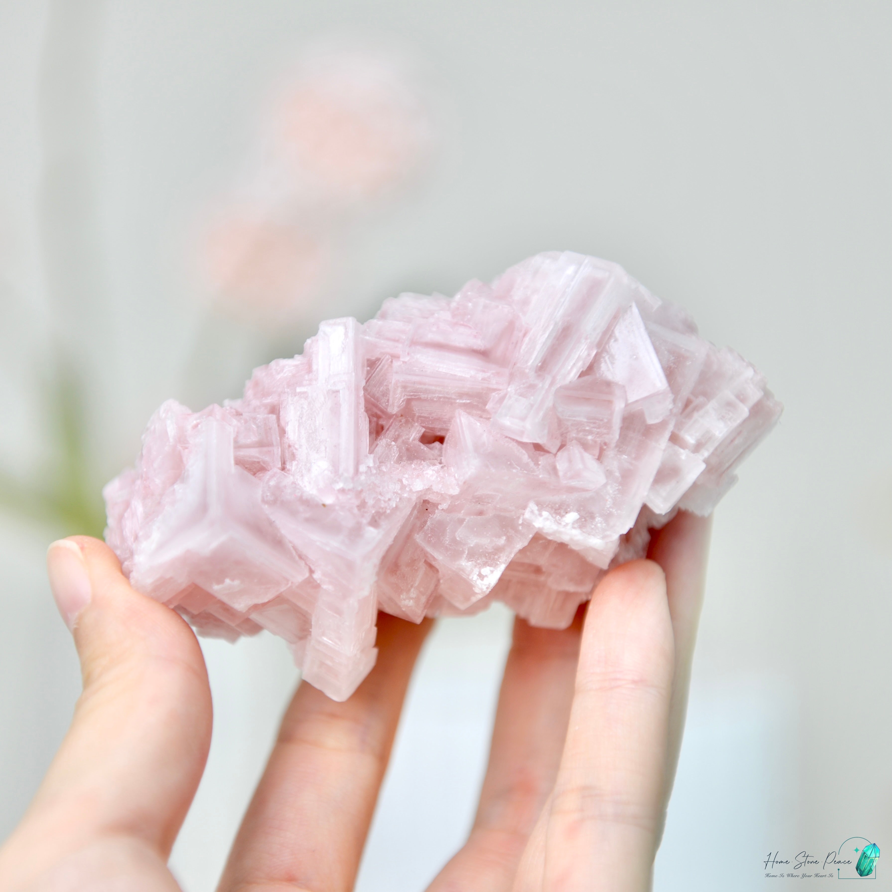 塞爾斯湖粉紅鹽礦 天然サールズ湖 ピンク岩塩