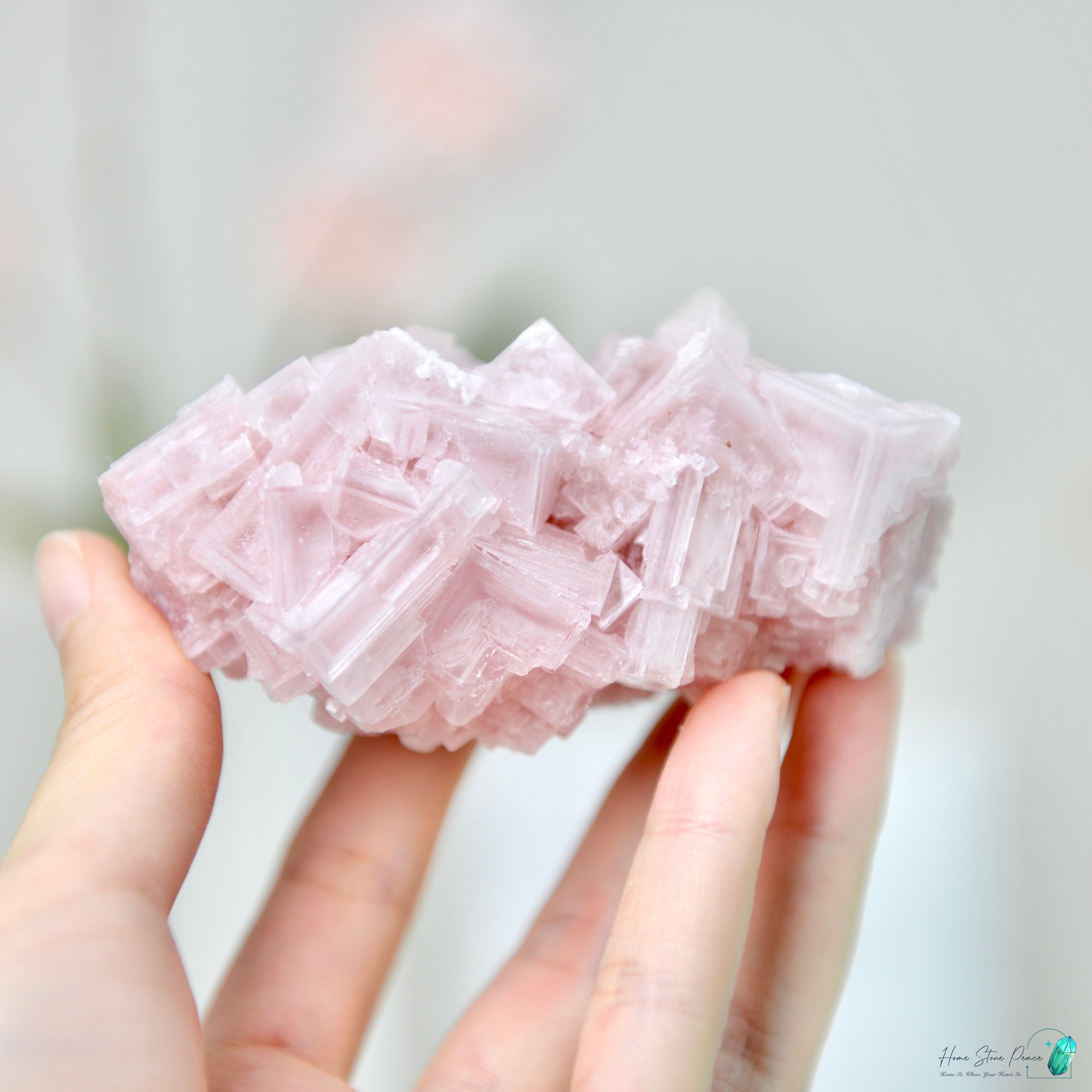 塞爾斯湖粉紅鹽礦 天然サールズ湖 ピンク岩塩