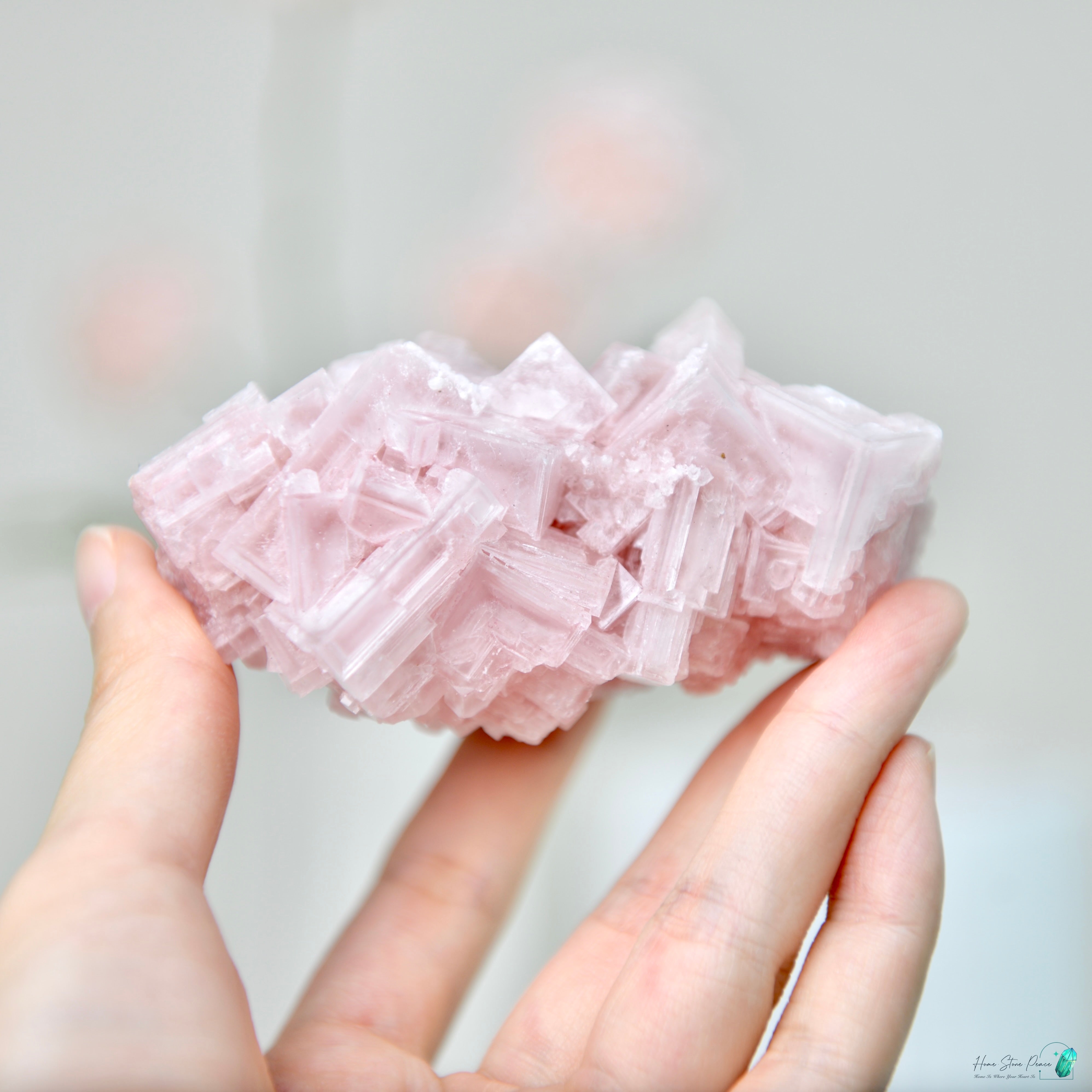 塞爾斯湖粉紅鹽礦 天然サールズ湖 ピンク岩塩