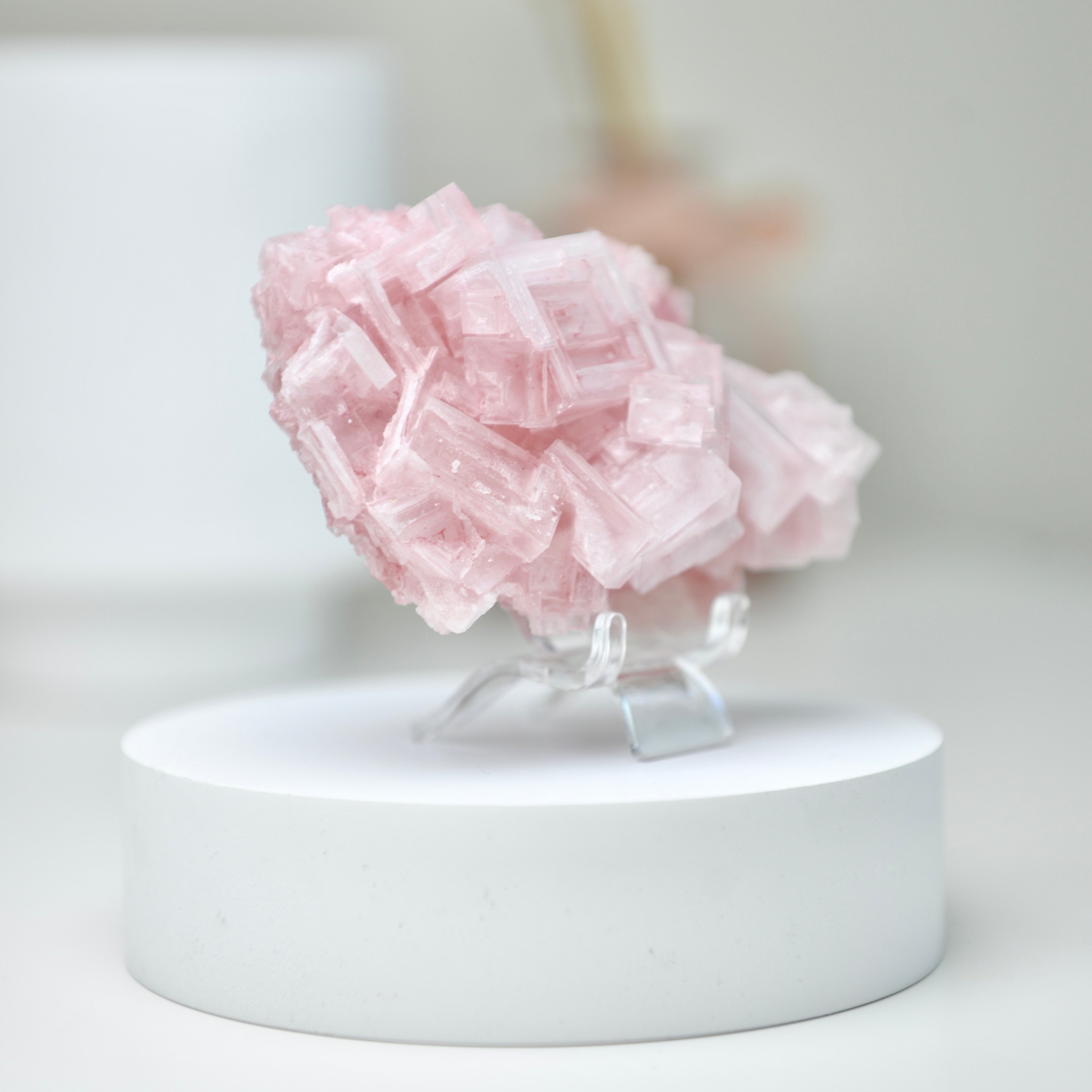 塞爾斯湖粉紅鹽礦 天然サールズ湖 ピンク岩塩