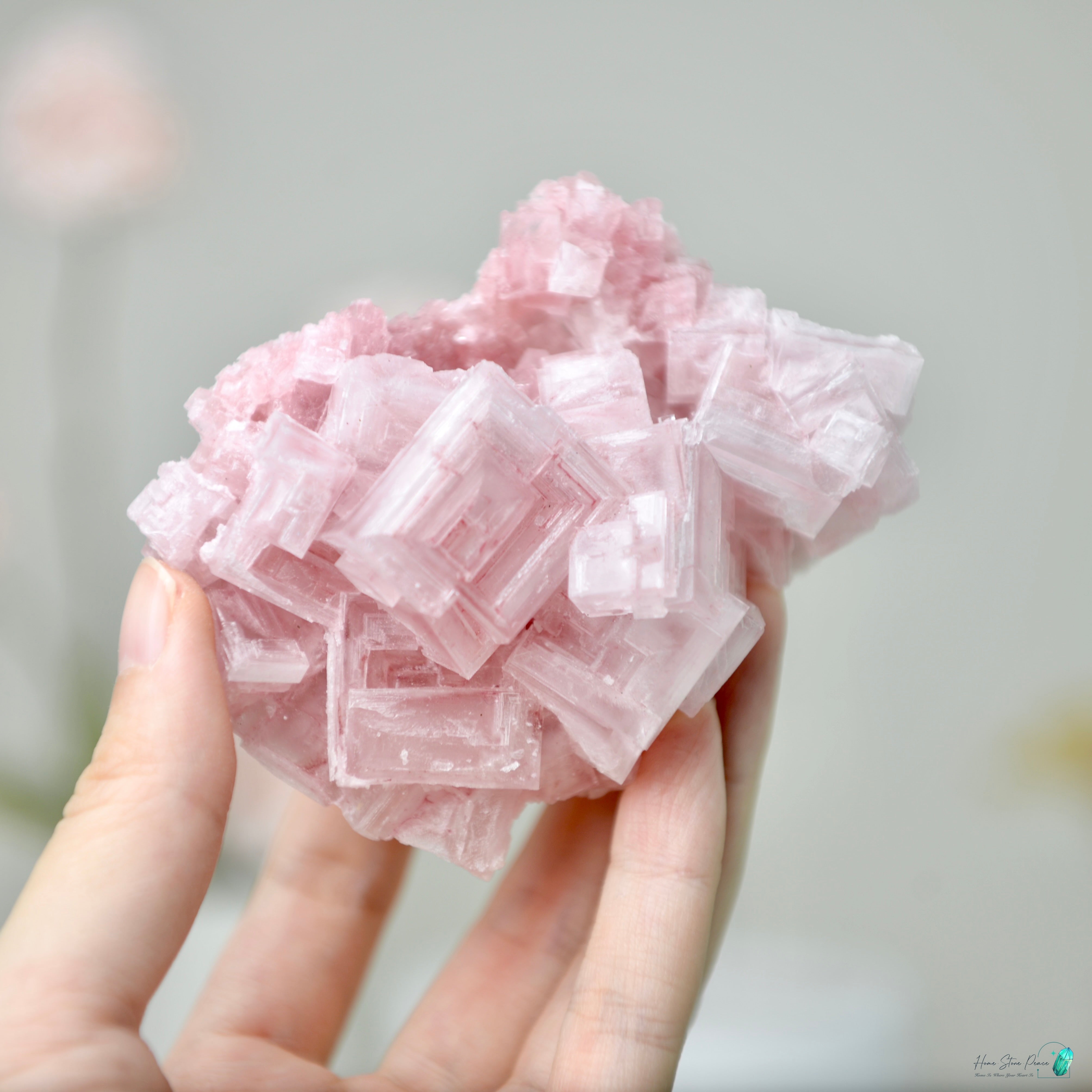 塞爾斯湖粉紅鹽礦 天然サールズ湖 ピンク岩塩