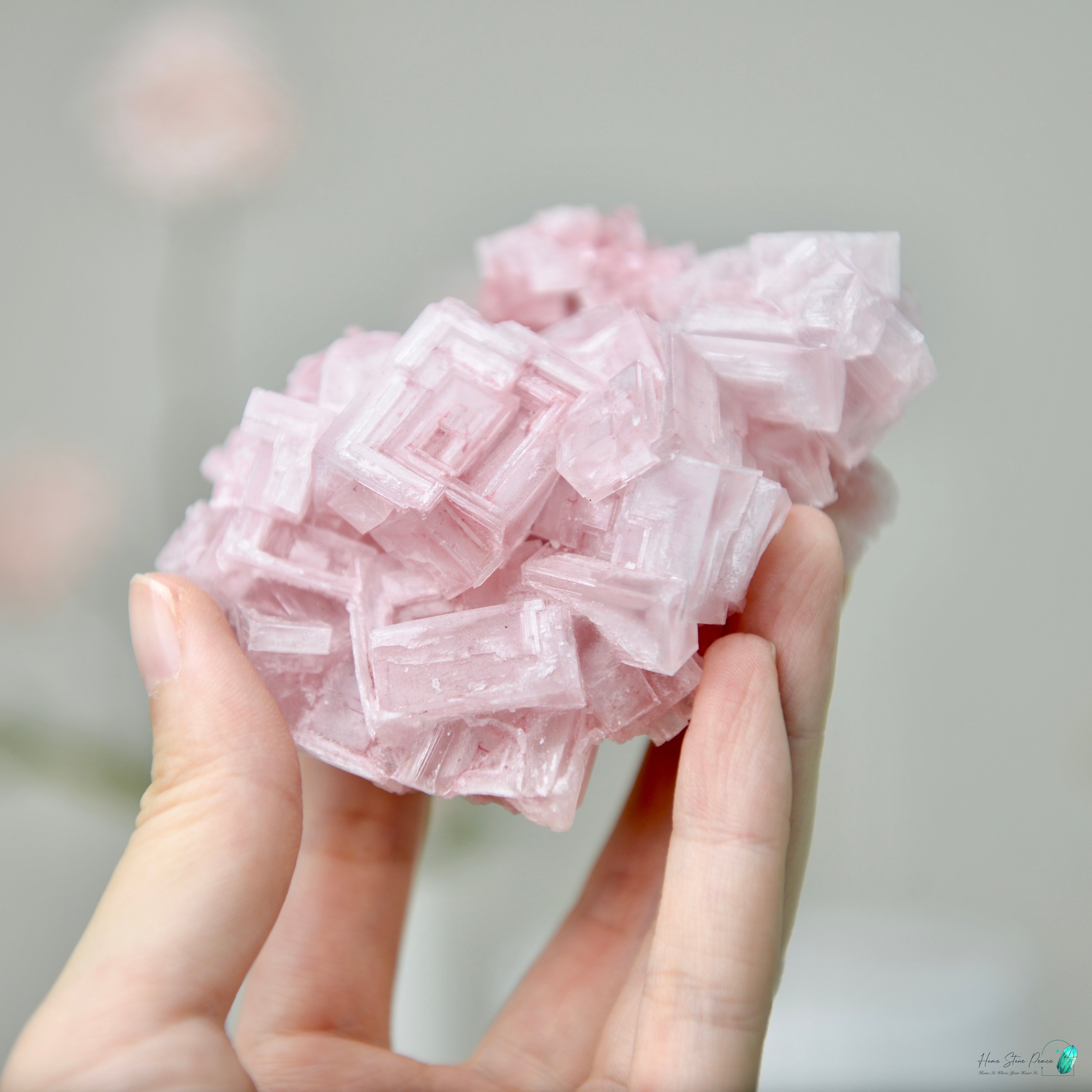 塞爾斯湖粉紅鹽礦 天然サールズ湖 ピンク岩塩