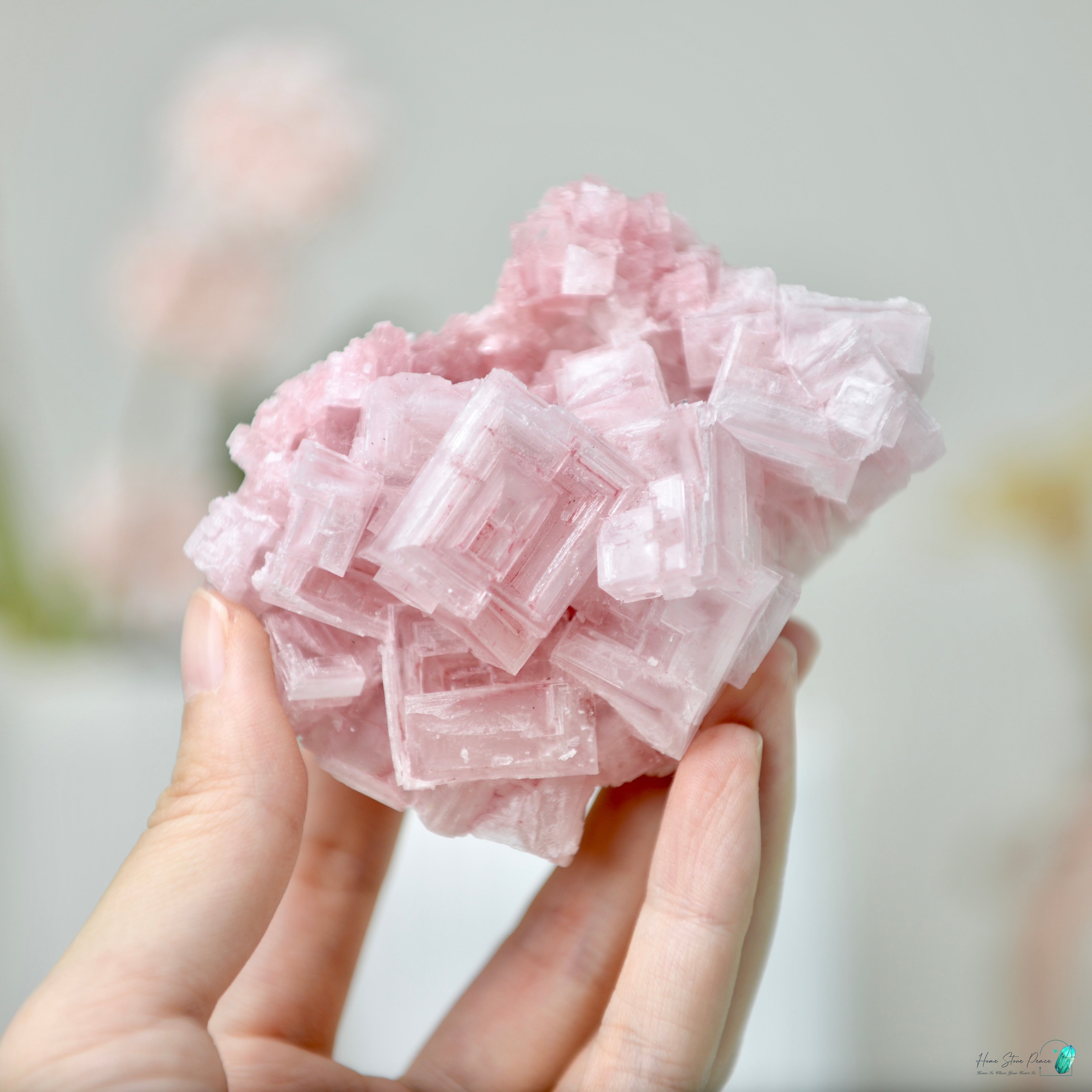 塞爾斯湖粉紅鹽礦 天然サールズ湖 ピンク岩塩