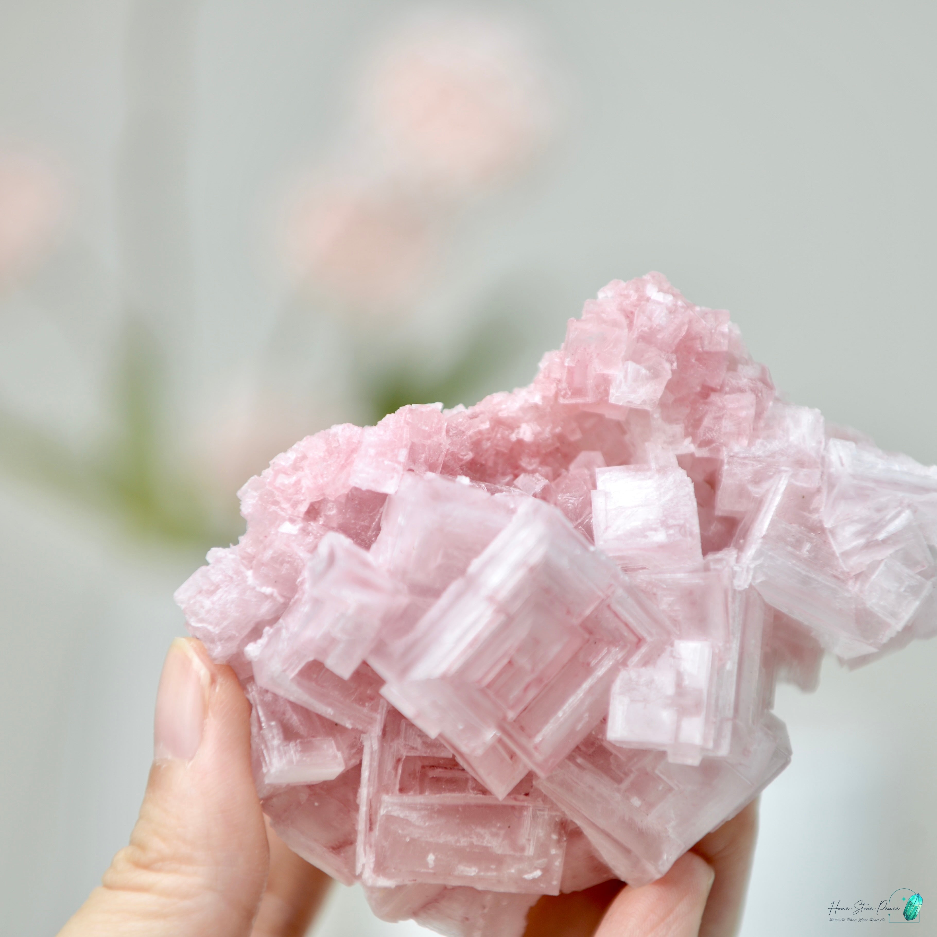 塞爾斯湖粉紅鹽礦 天然サールズ湖 ピンク岩塩