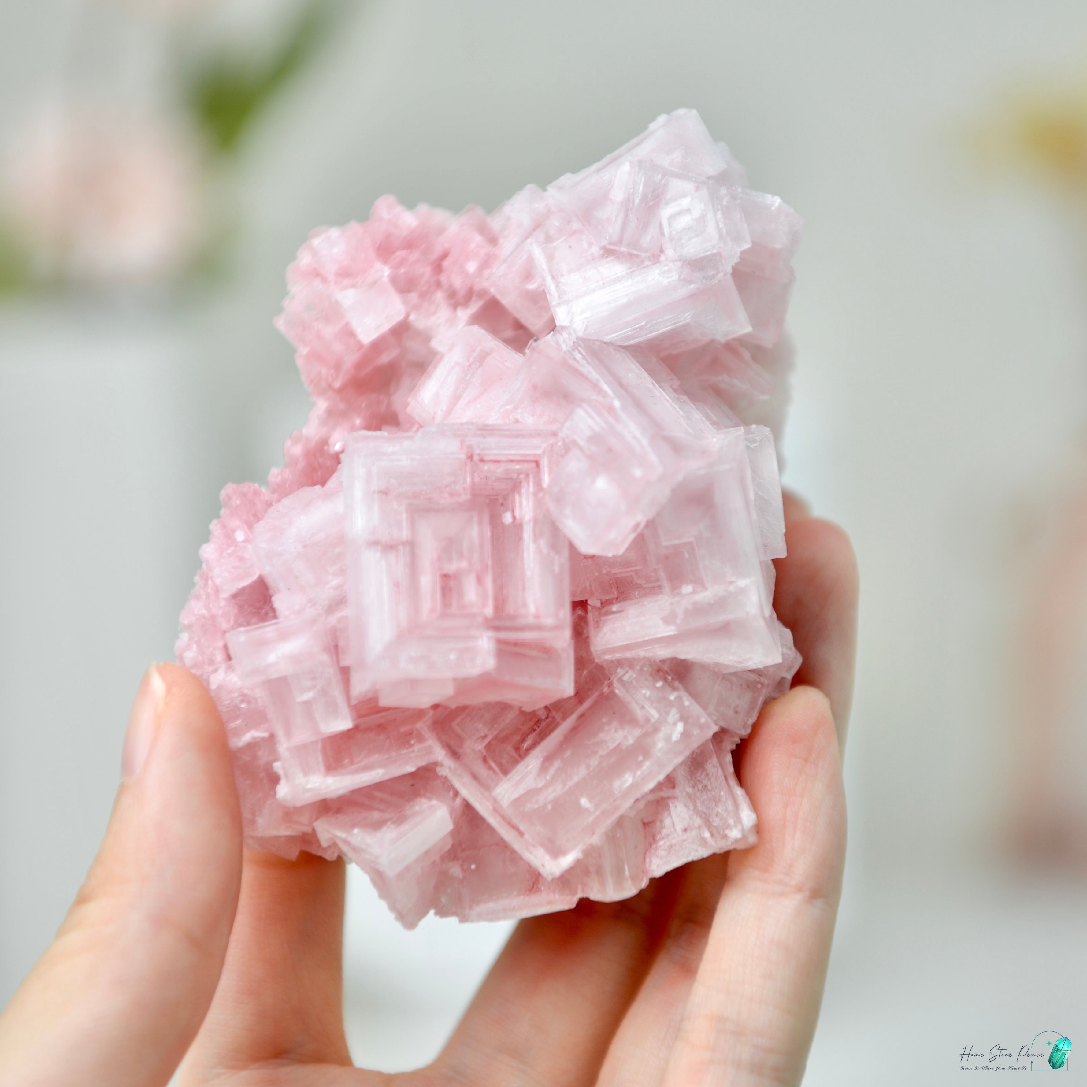 塞爾斯湖粉紅鹽礦 天然サールズ湖 ピンク岩塩