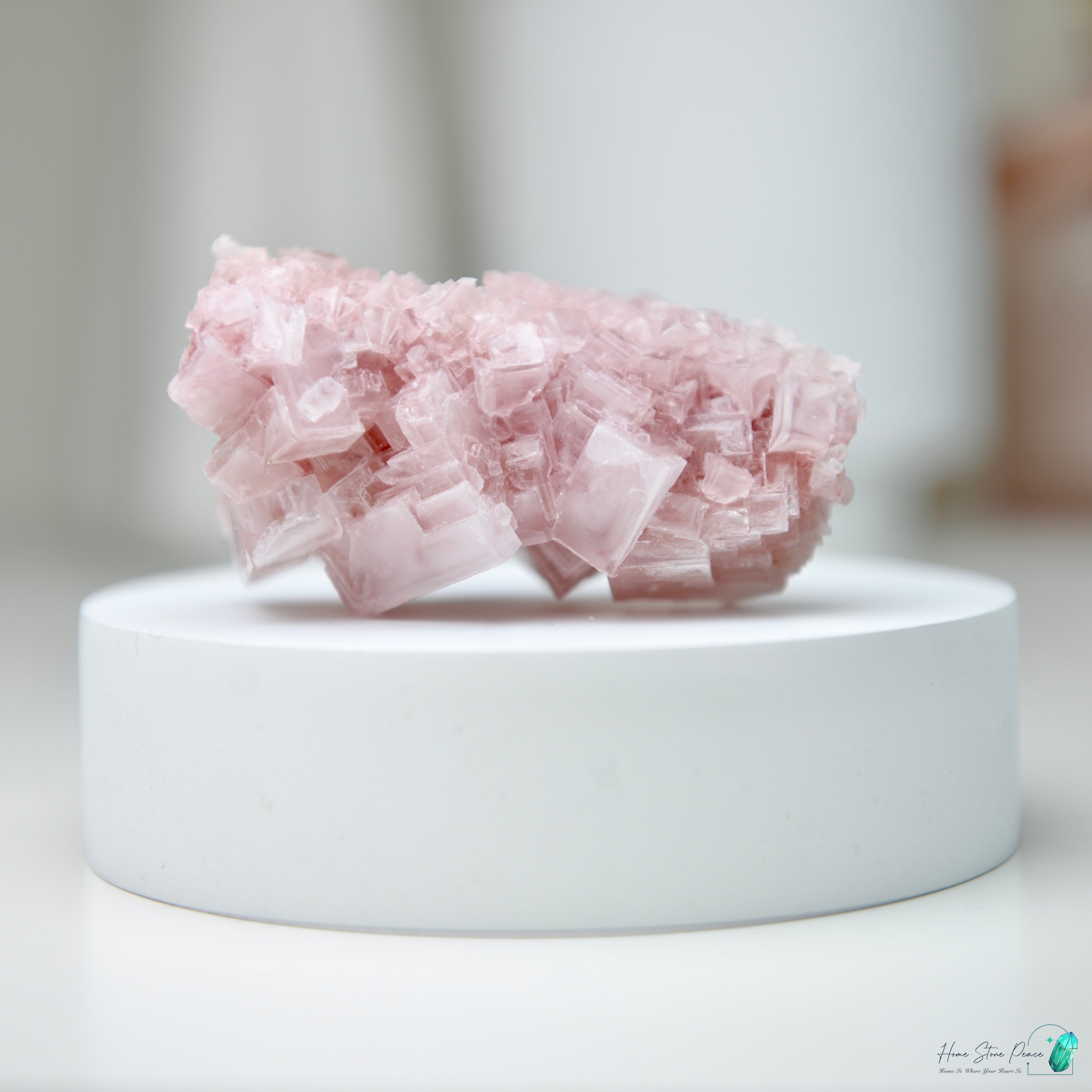 塞爾斯湖粉紅鹽礦 天然サールズ湖 ピンク岩塩