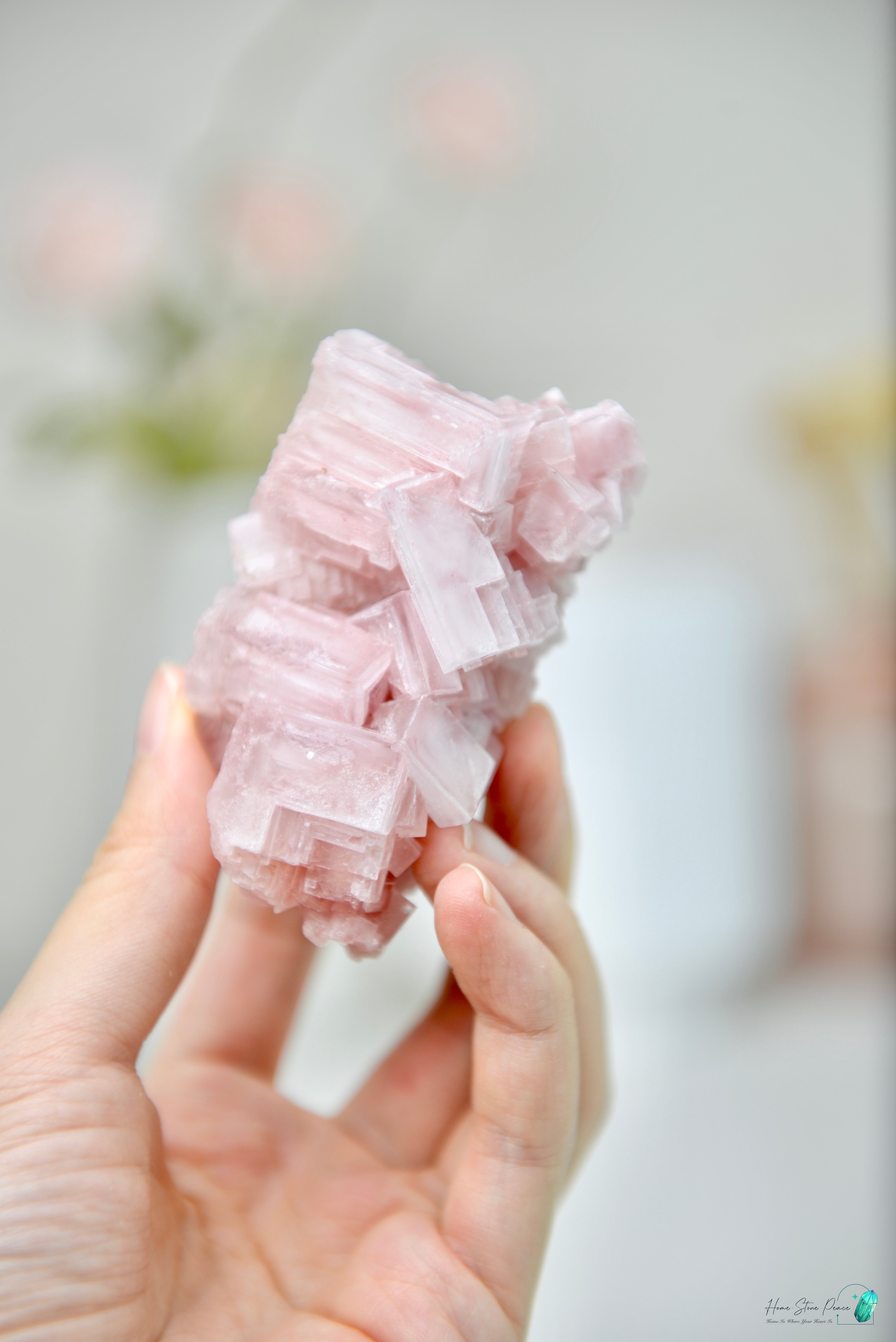 塞爾斯湖粉紅鹽礦 天然サールズ湖 ピンク岩塩