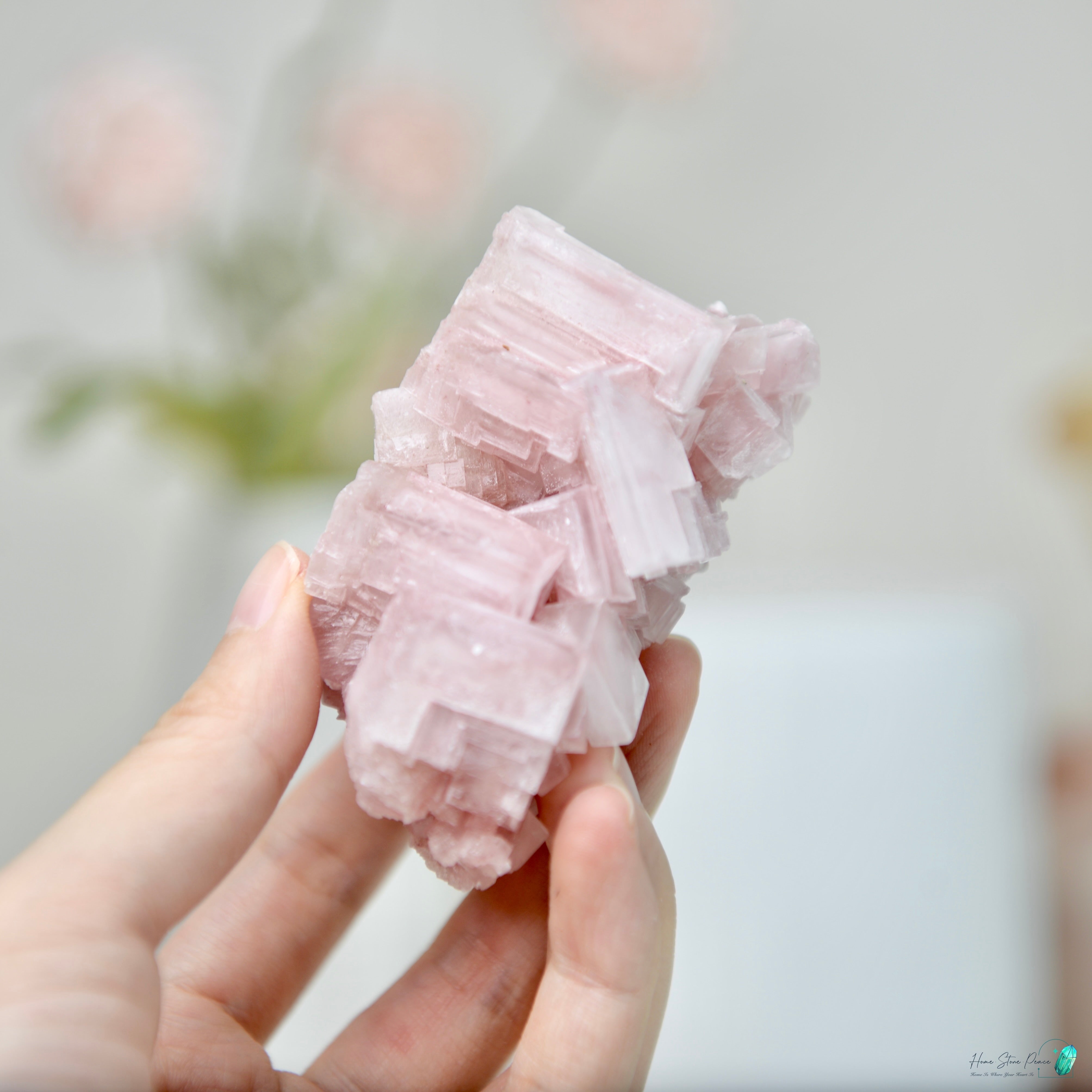 塞爾斯湖粉紅鹽礦 天然サールズ湖 ピンク岩塩