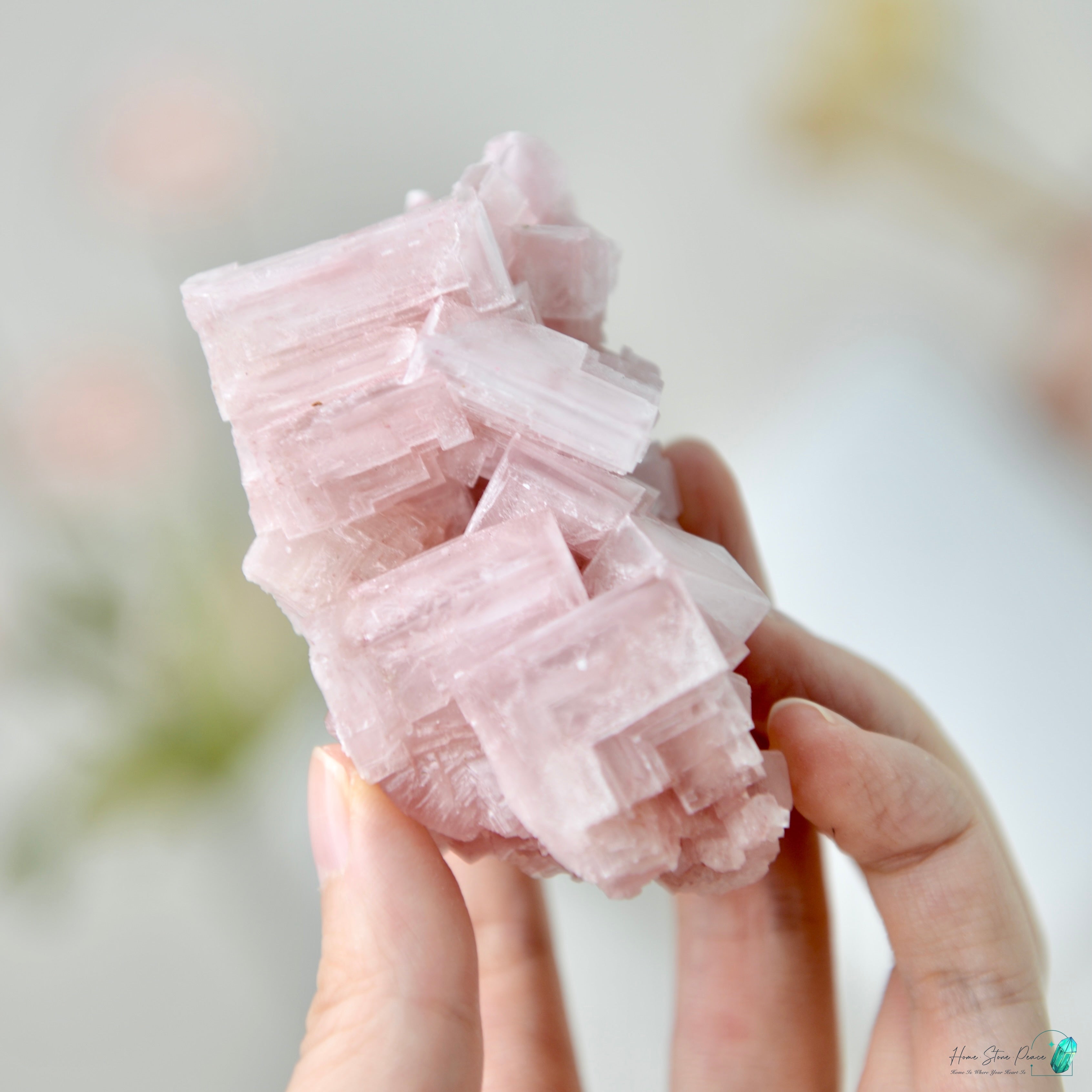 塞爾斯湖粉紅鹽礦 天然サールズ湖 ピンク岩塩