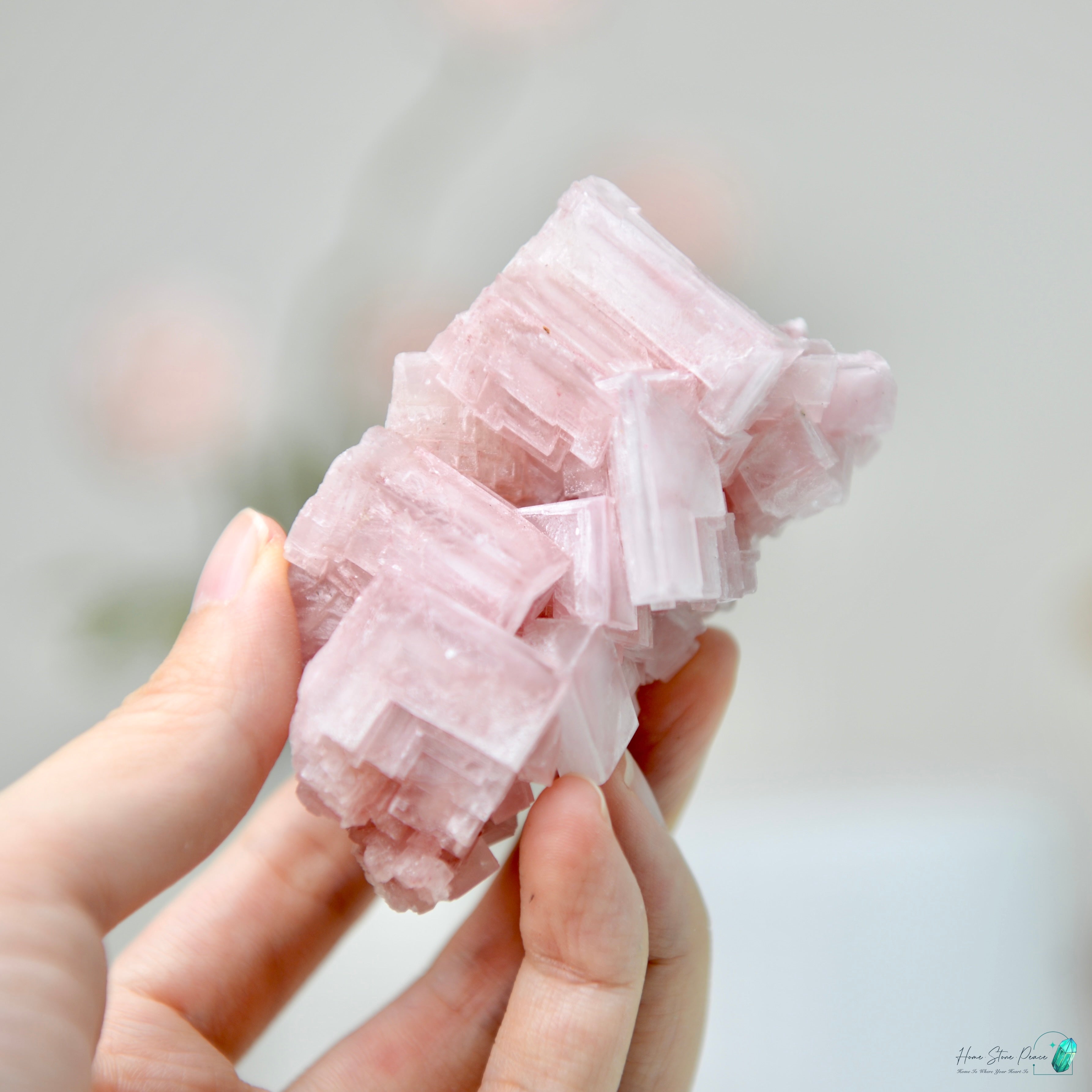 塞爾斯湖粉紅鹽礦 天然サールズ湖 ピンク岩塩