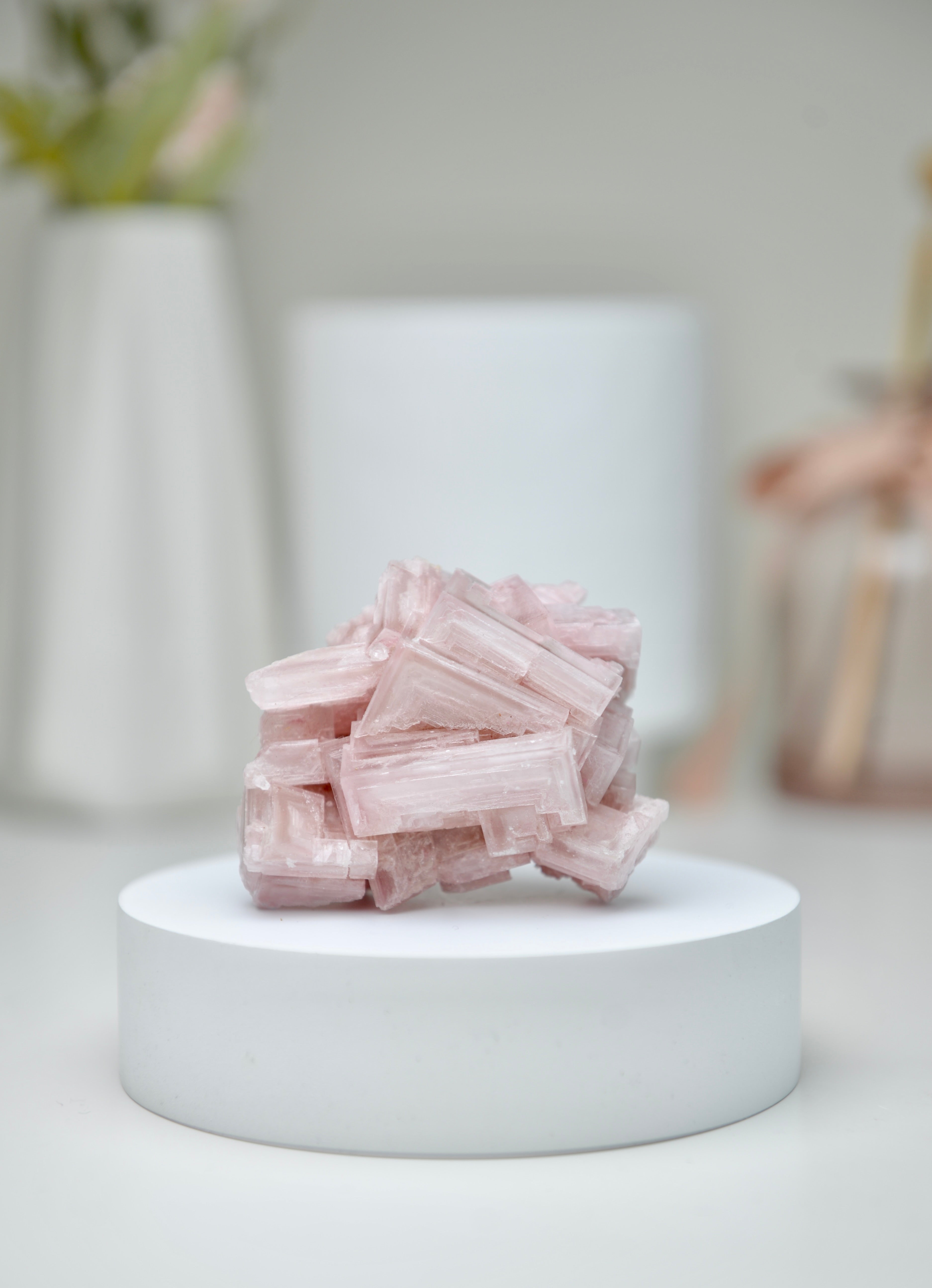 塞爾斯湖粉紅鹽礦 天然サールズ湖 ピンク岩塩