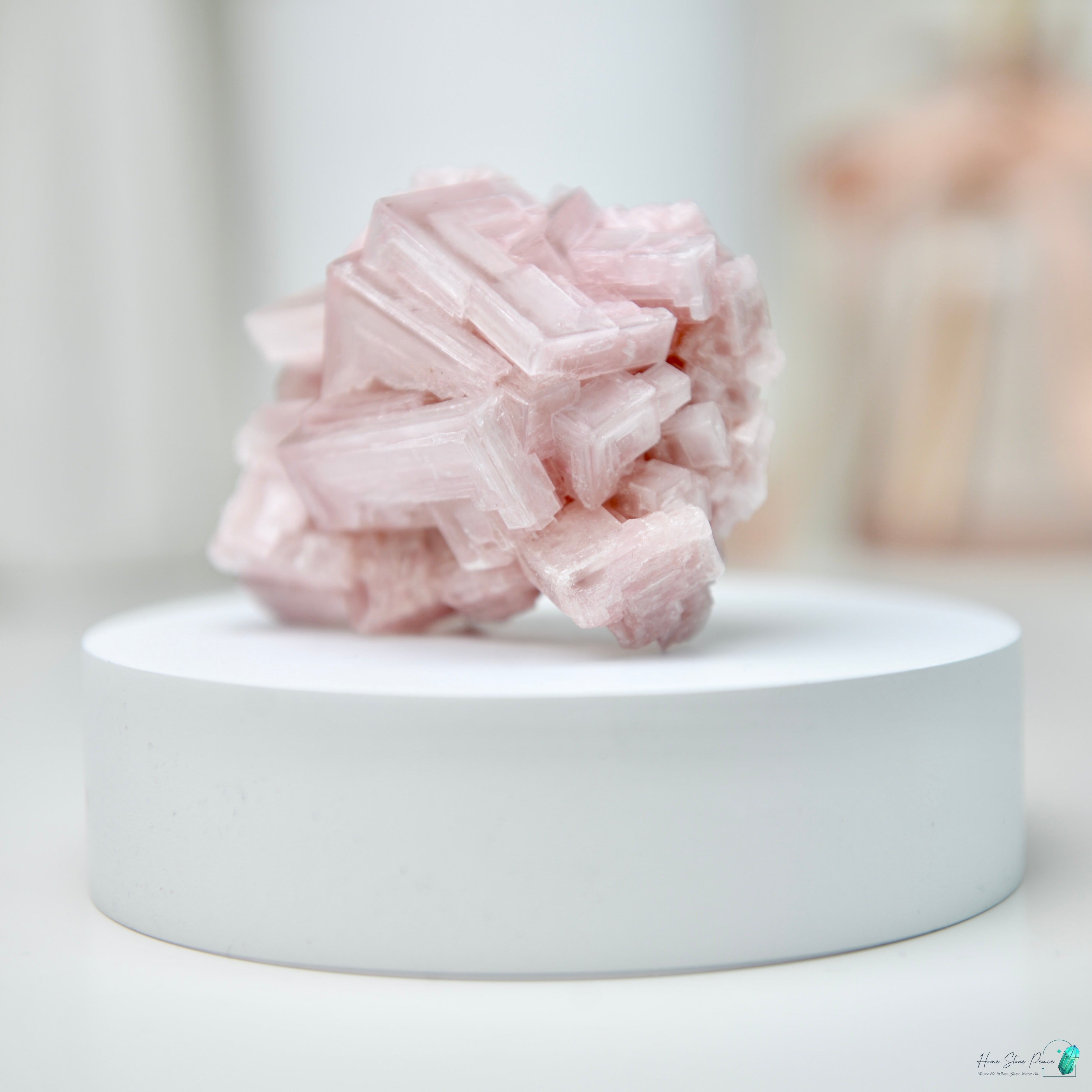 塞爾斯湖粉紅鹽礦 天然サールズ湖 ピンク岩塩