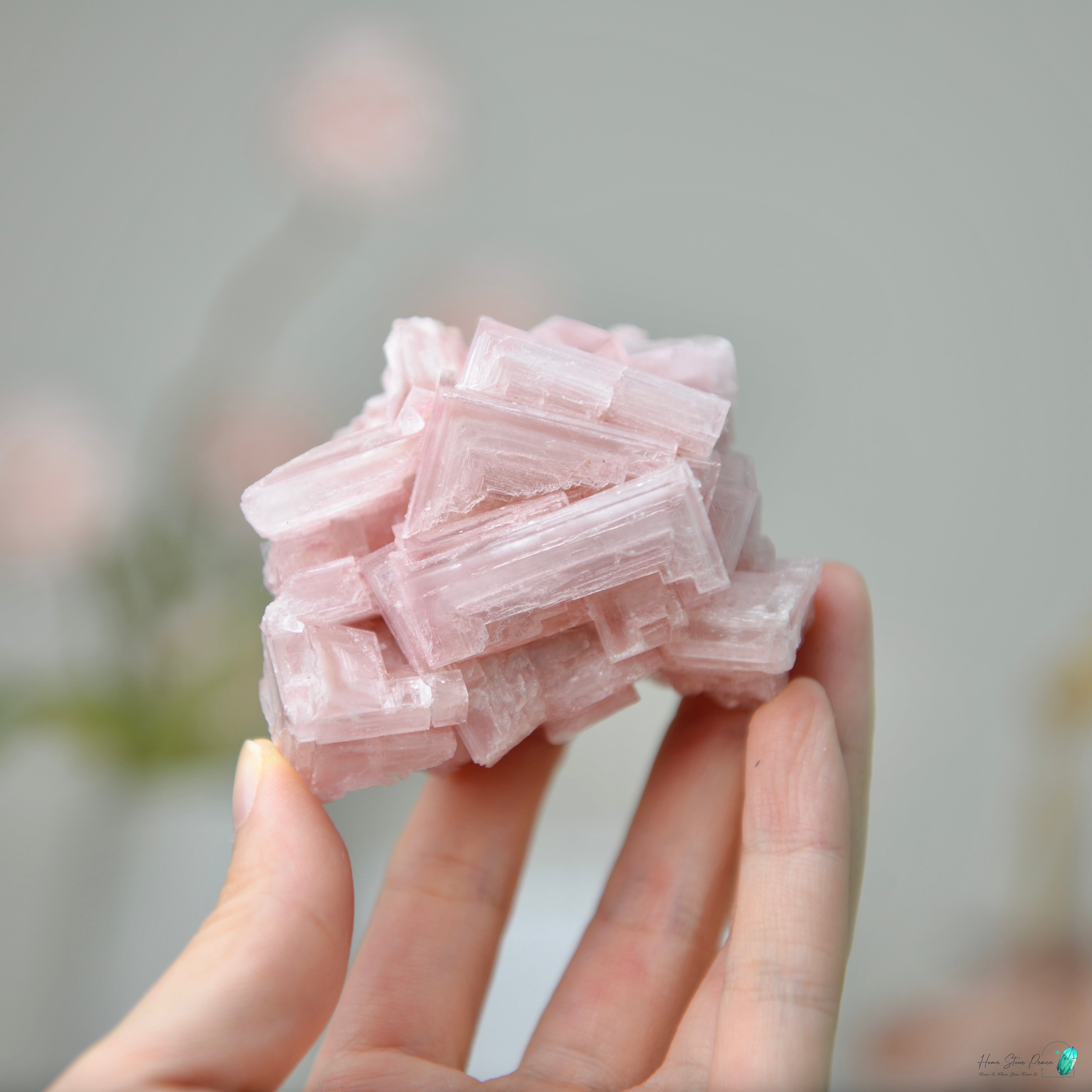 塞爾斯湖粉紅鹽礦 天然サールズ湖 ピンク岩塩