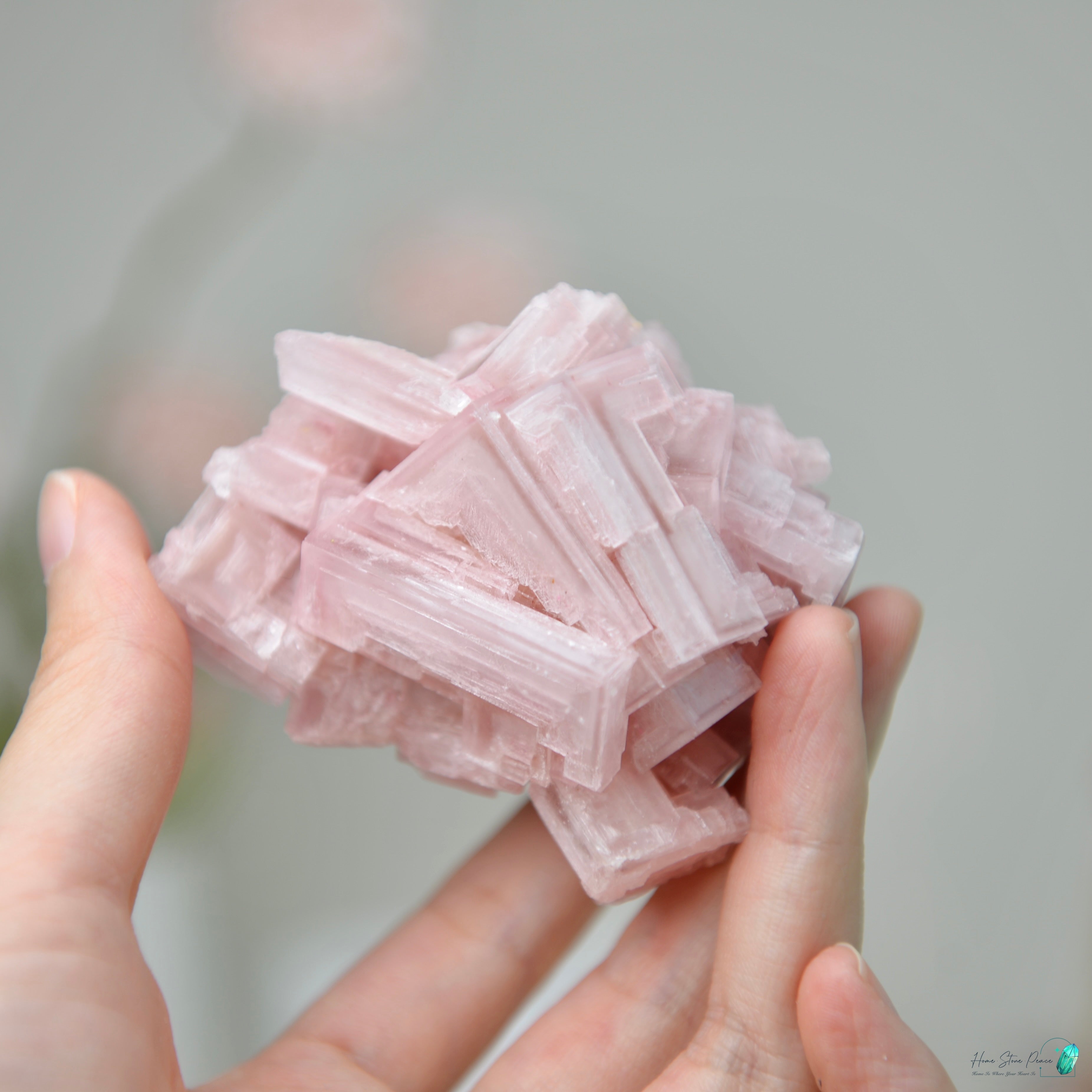 塞爾斯湖粉紅鹽礦 天然サールズ湖 ピンク岩塩