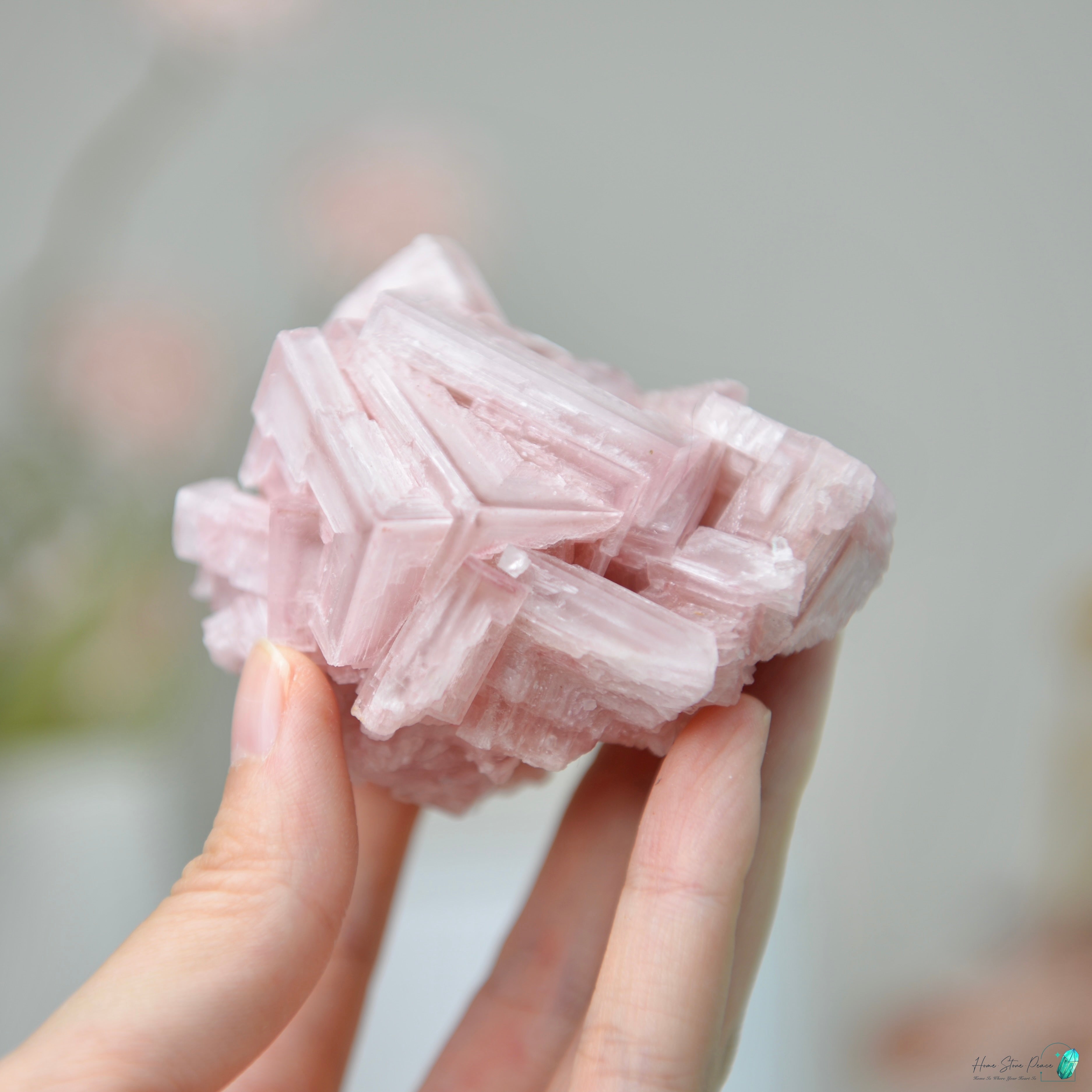 塞爾斯湖粉紅鹽礦 天然サールズ湖 ピンク岩塩