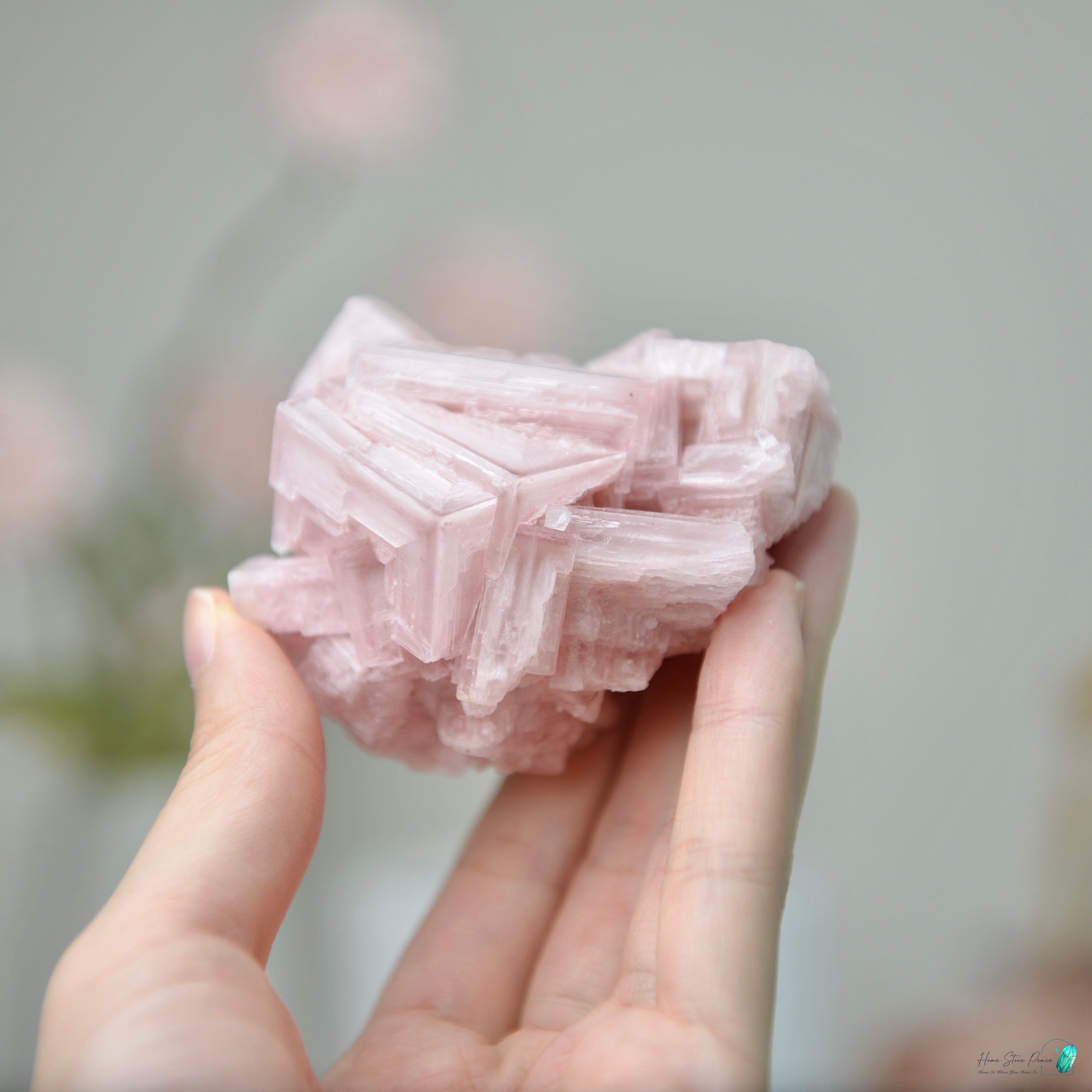 塞爾斯湖粉紅鹽礦 天然サールズ湖 ピンク岩塩