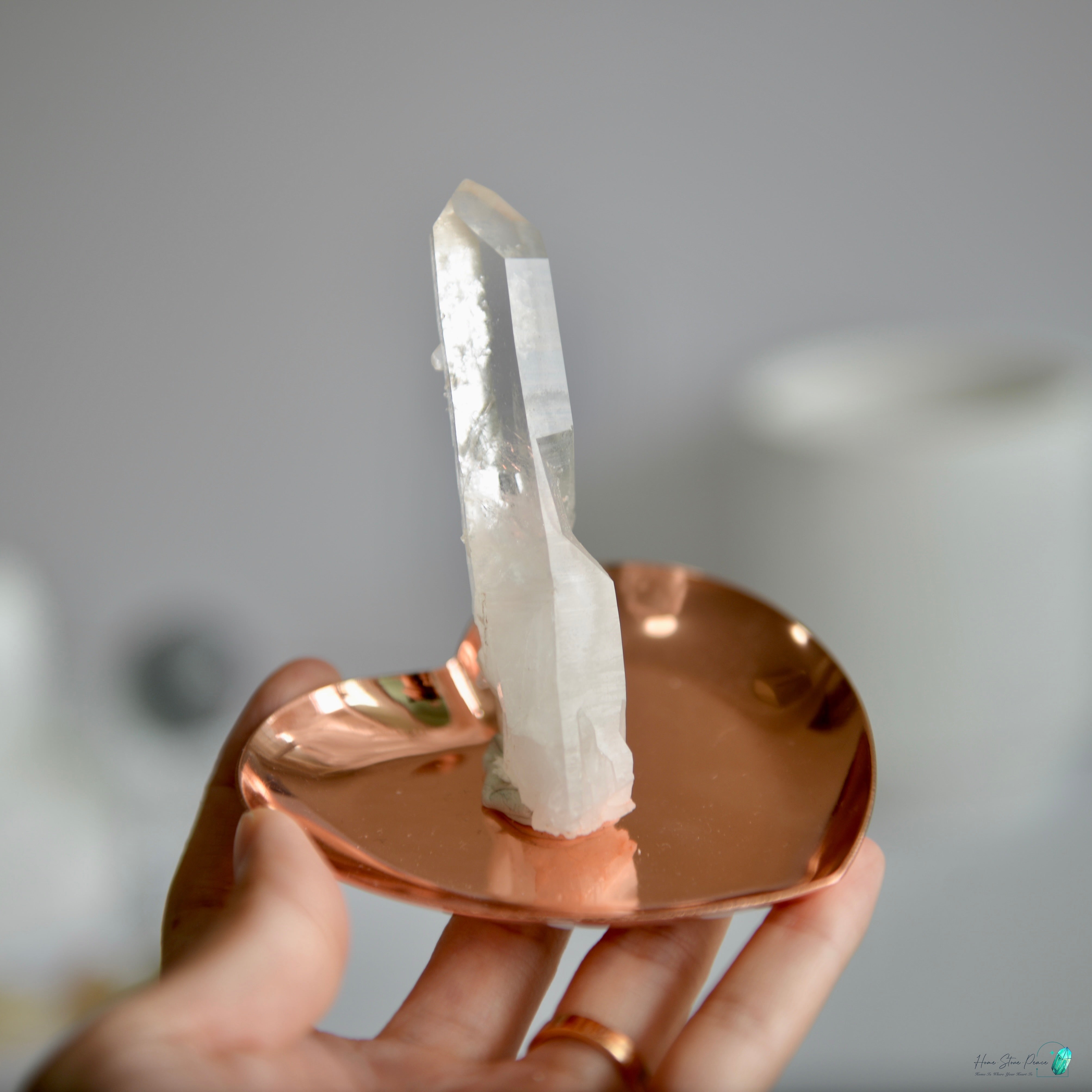 馬達加斯加白水晶單枝原石 Madagascar Clear Quartz Cluster