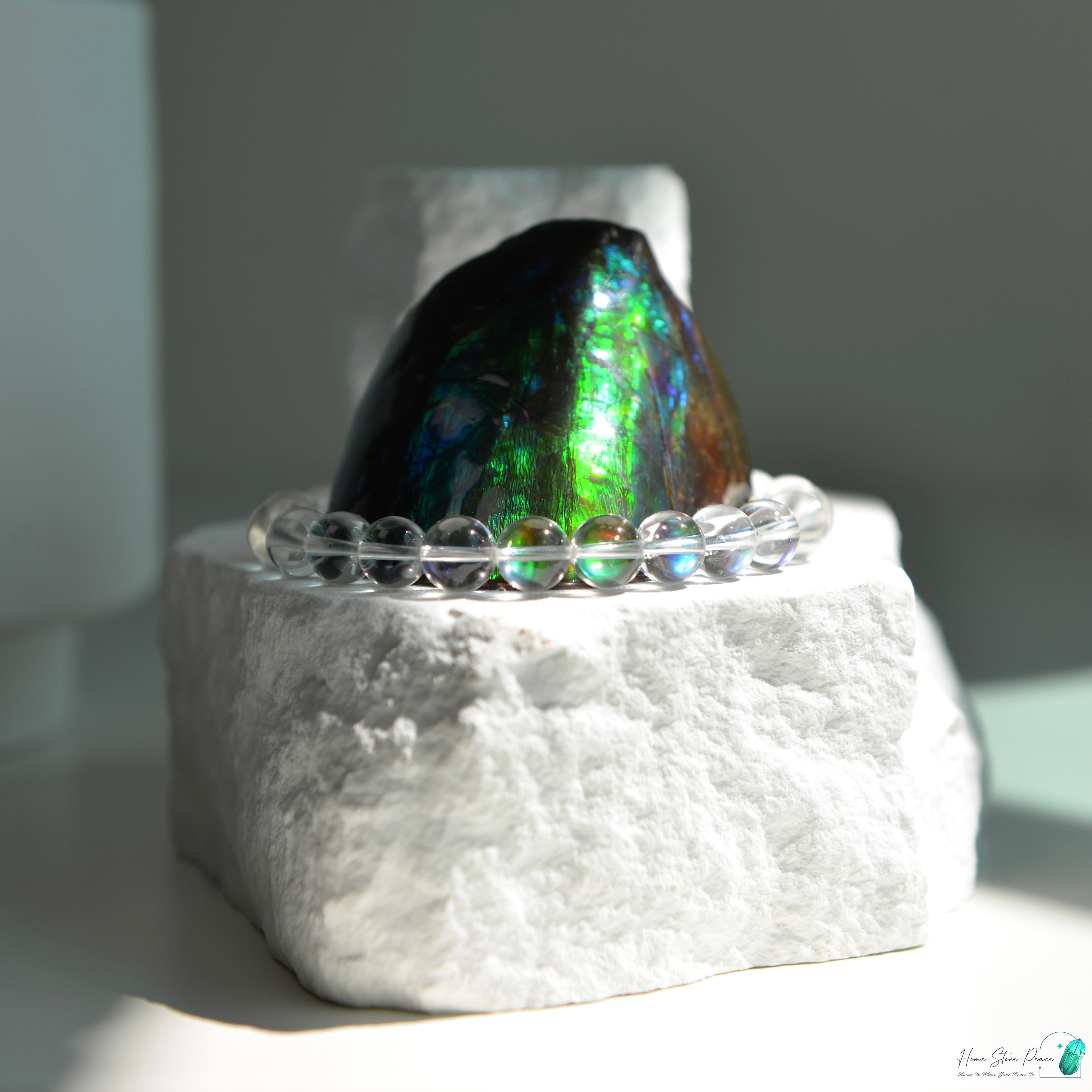 加拿大斑彩化石 Canadian Fossilized Ammonite