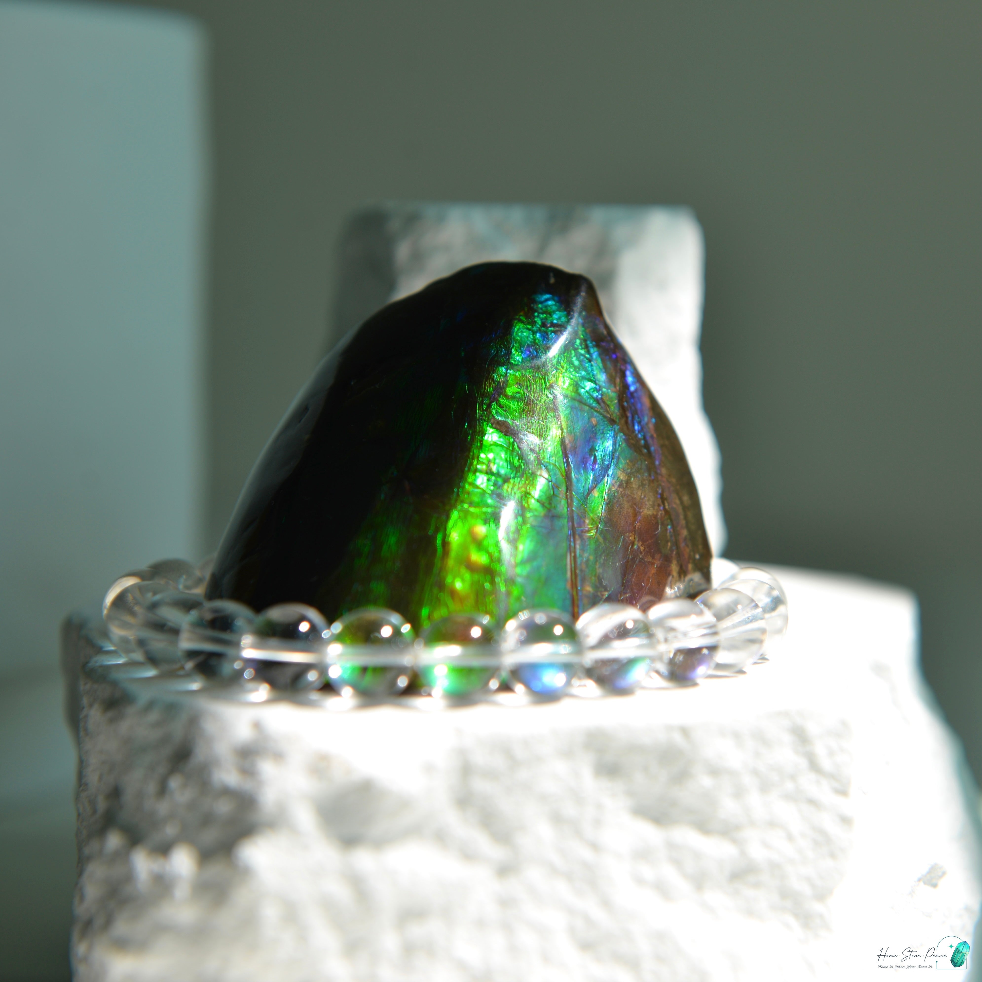 加拿大斑彩化石 Canadian Fossilized Ammonite