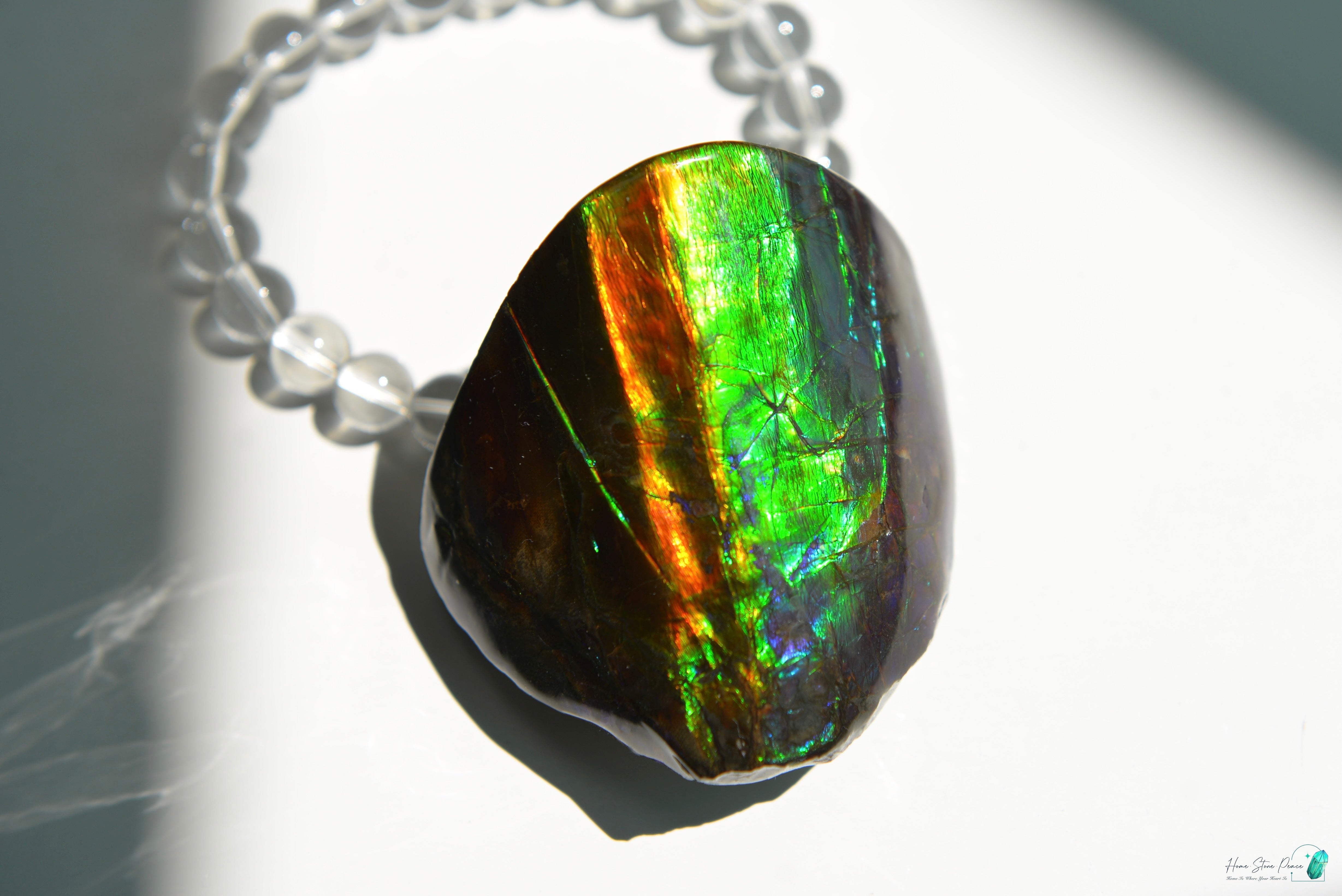 加拿大斑彩化石 Canadian Fossilized Ammonite