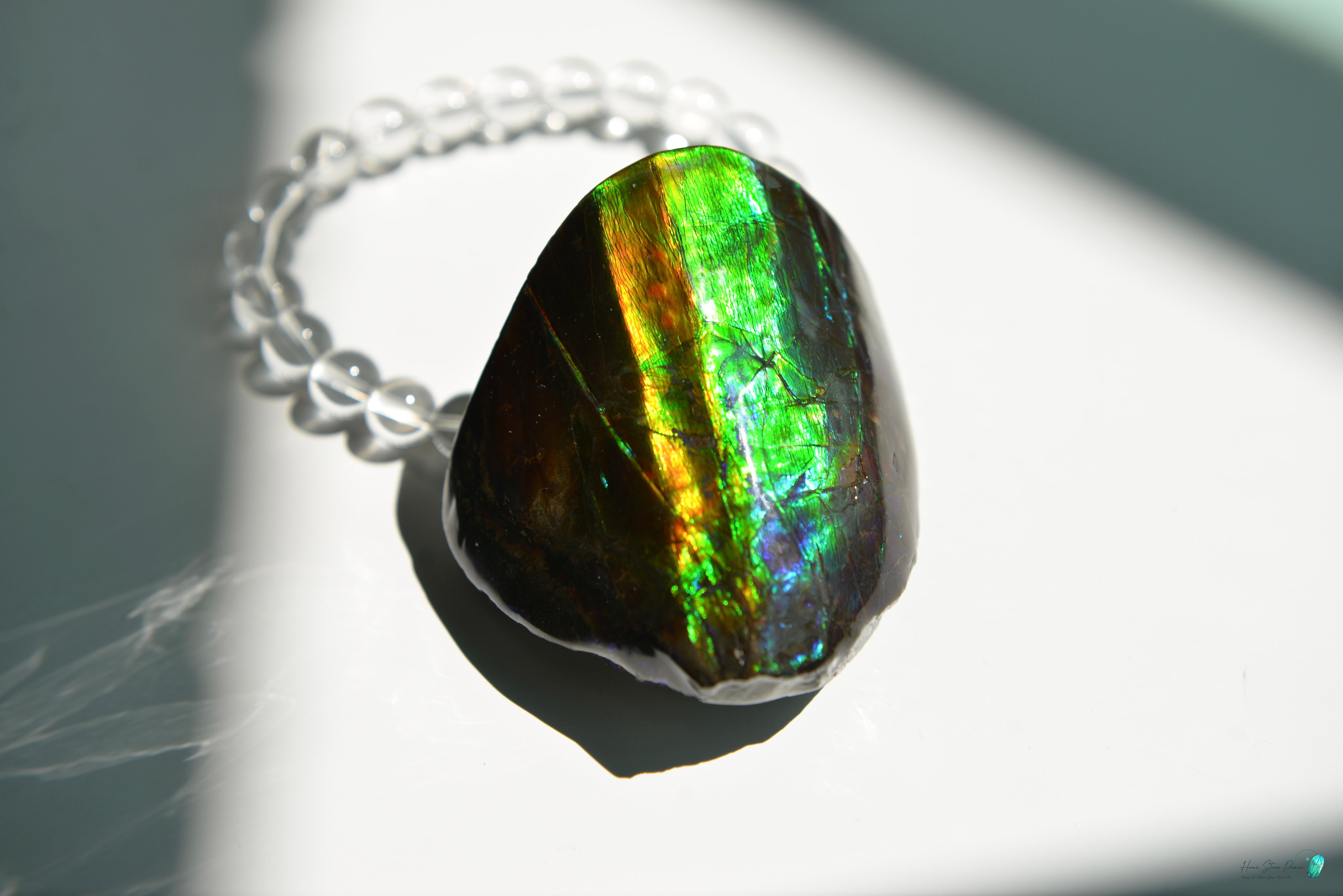 加拿大斑彩化石 Canadian Fossilized Ammonite