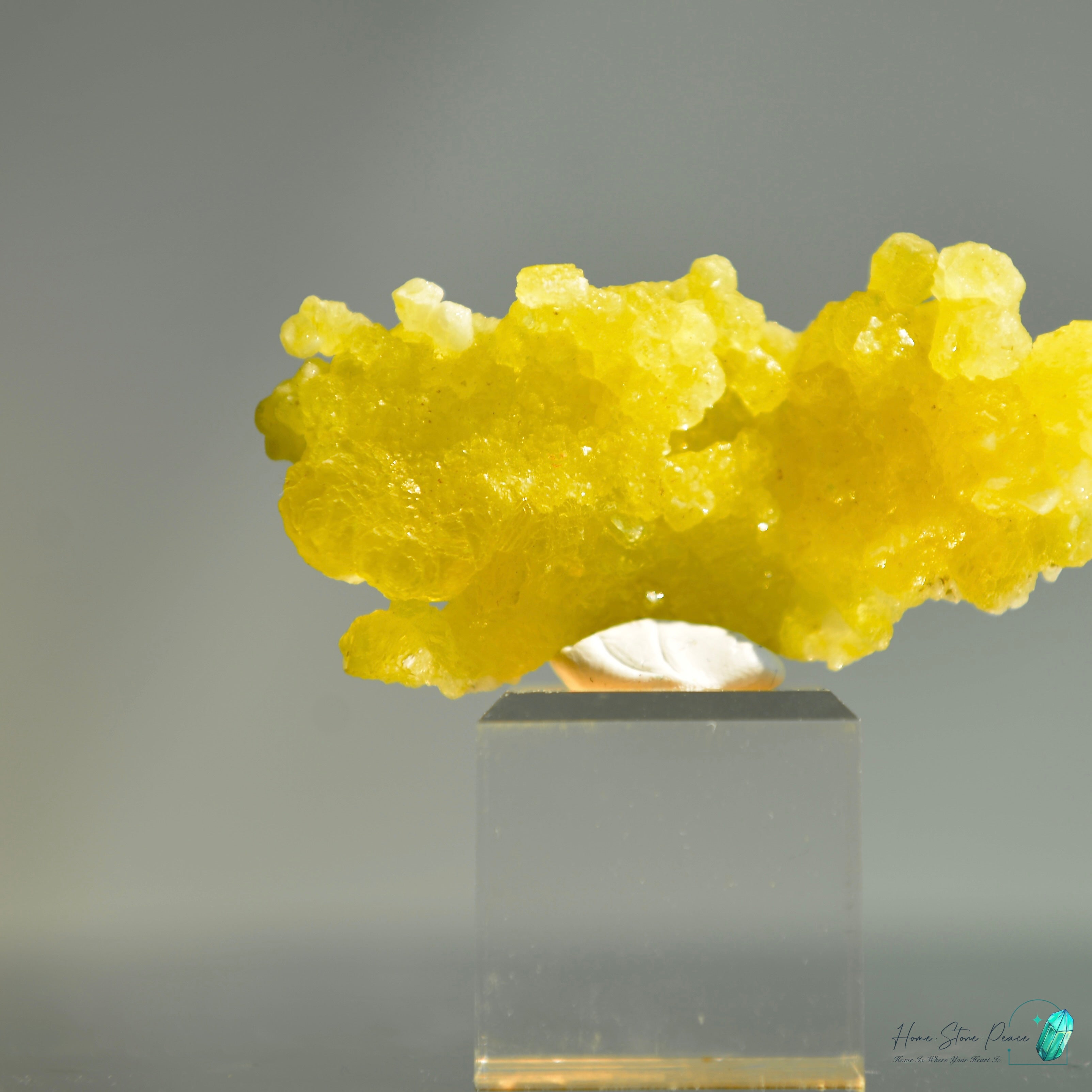 巴基斯坦黄色水鎂石原石 Balochistan Yellow Brucite