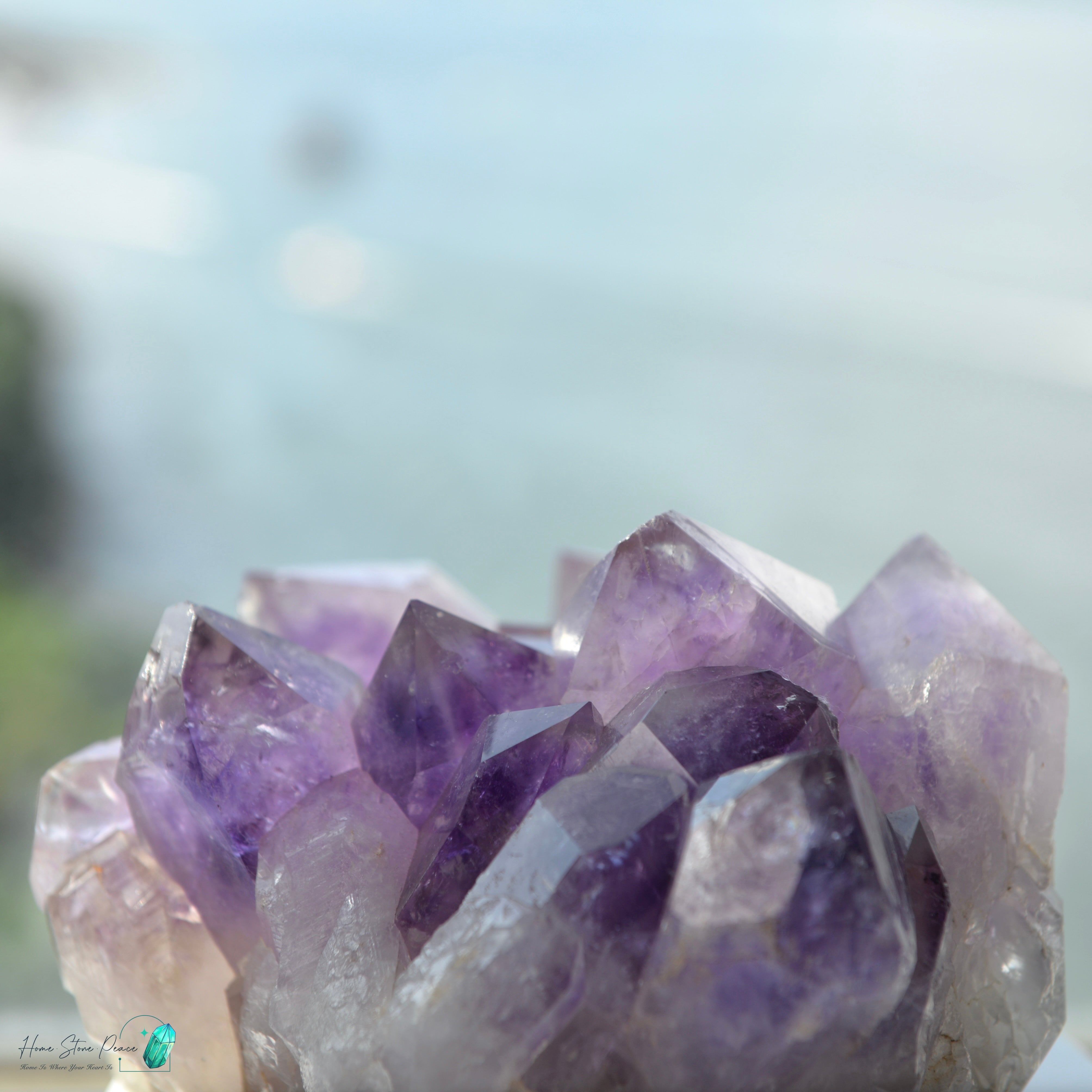 玻利維亞紫水晶簇 (大型)Natural Bolivian Amethyst Cluster (Large)