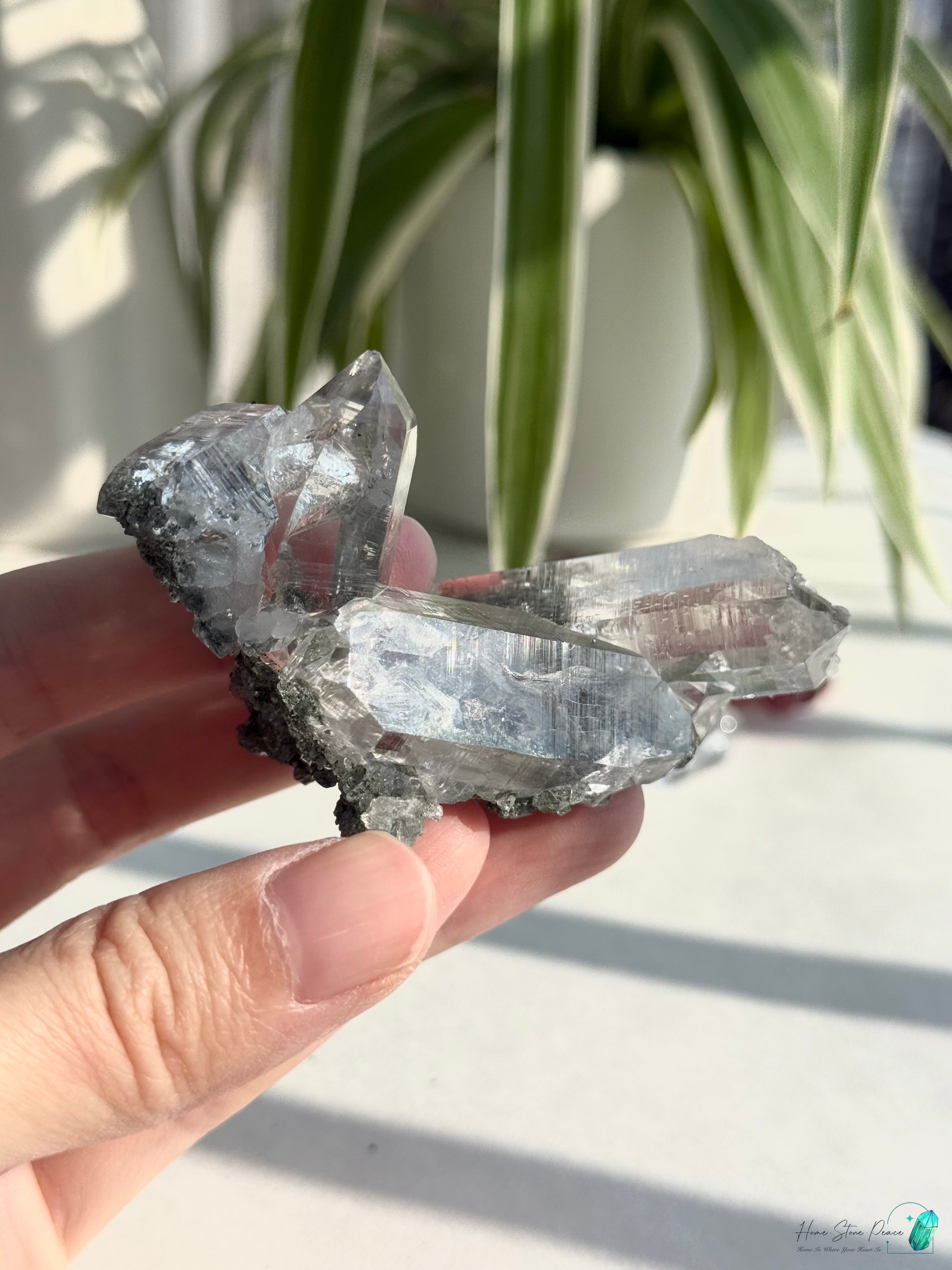 精品喜馬拉雅山綠泥共生水晶 Premium Himalayan Quartz with Green Chlorite
