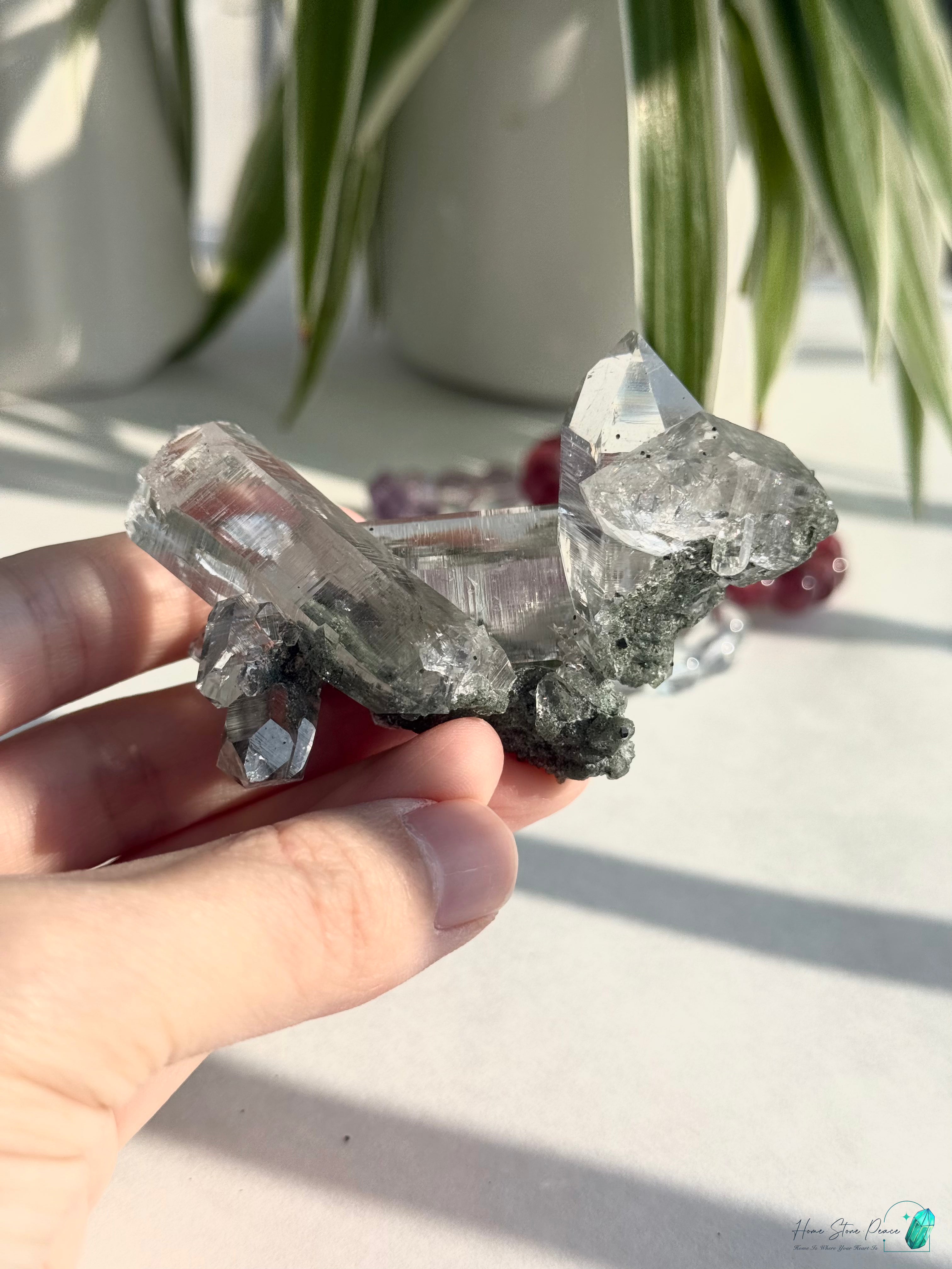 精品喜馬拉雅山綠泥共生水晶 Premium Himalayan Quartz with Green Chlorite