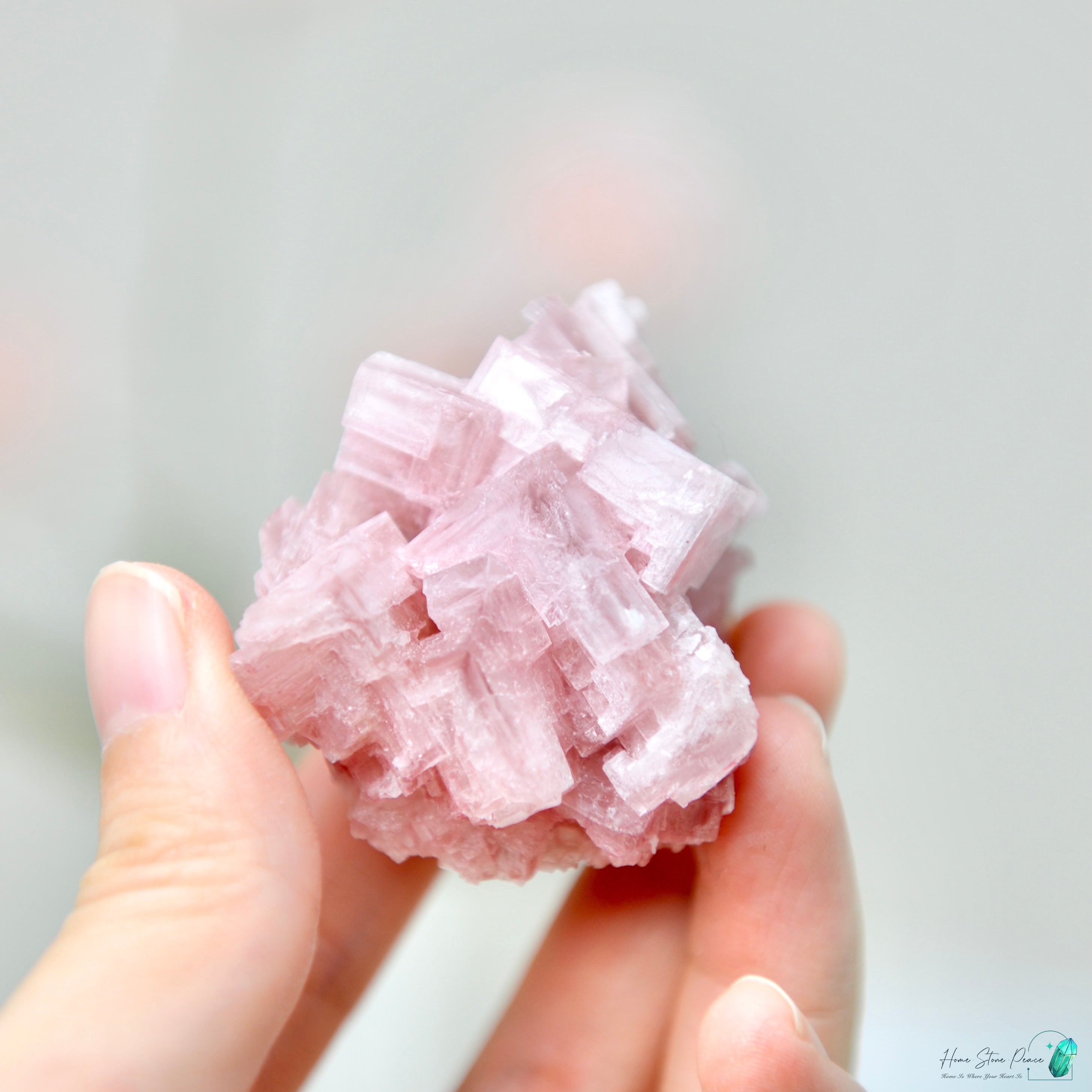 塞爾斯湖粉紅鹽礦 天然サールズ湖 ピンク岩塩