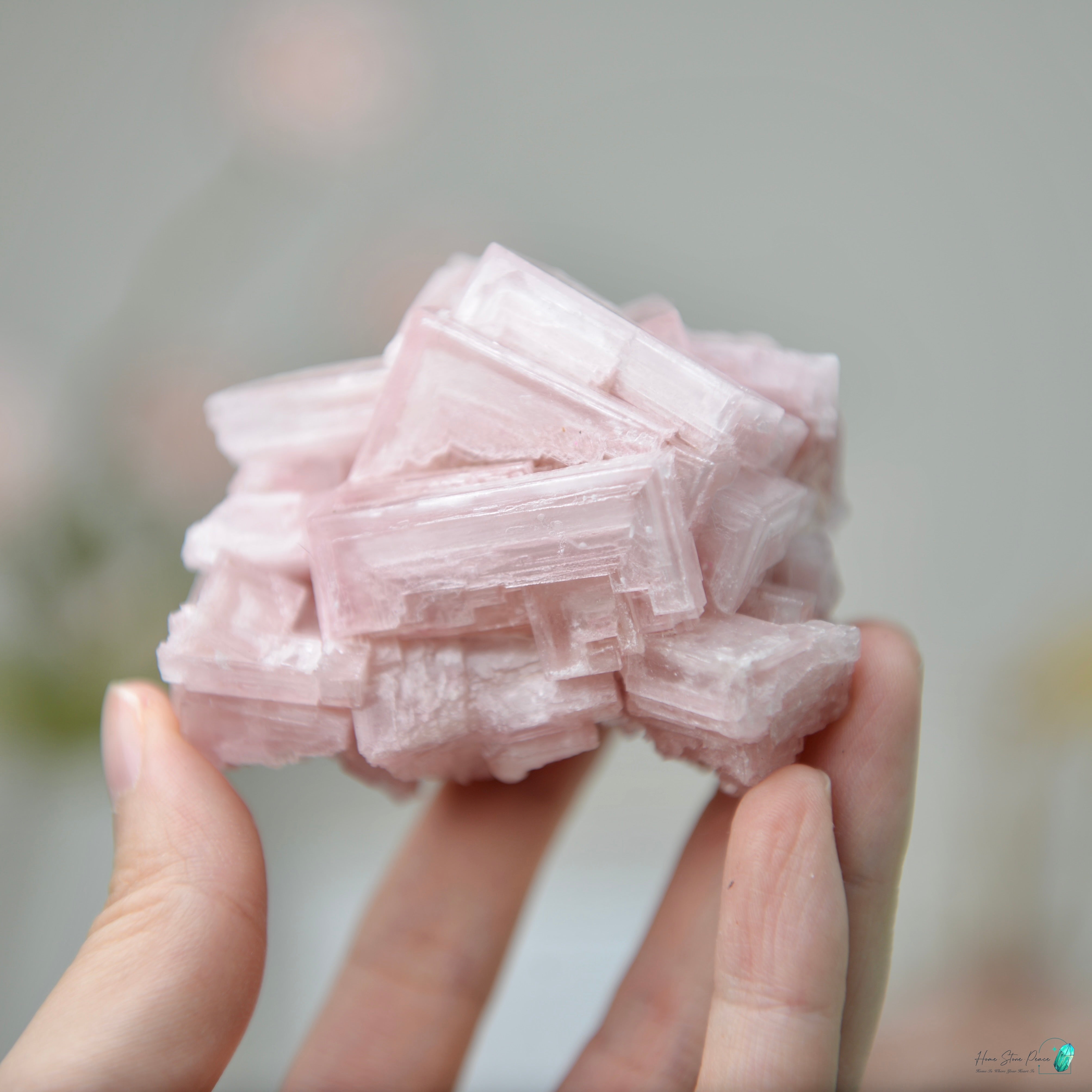 塞爾斯湖粉紅鹽礦 天然サールズ湖 ピンク岩塩