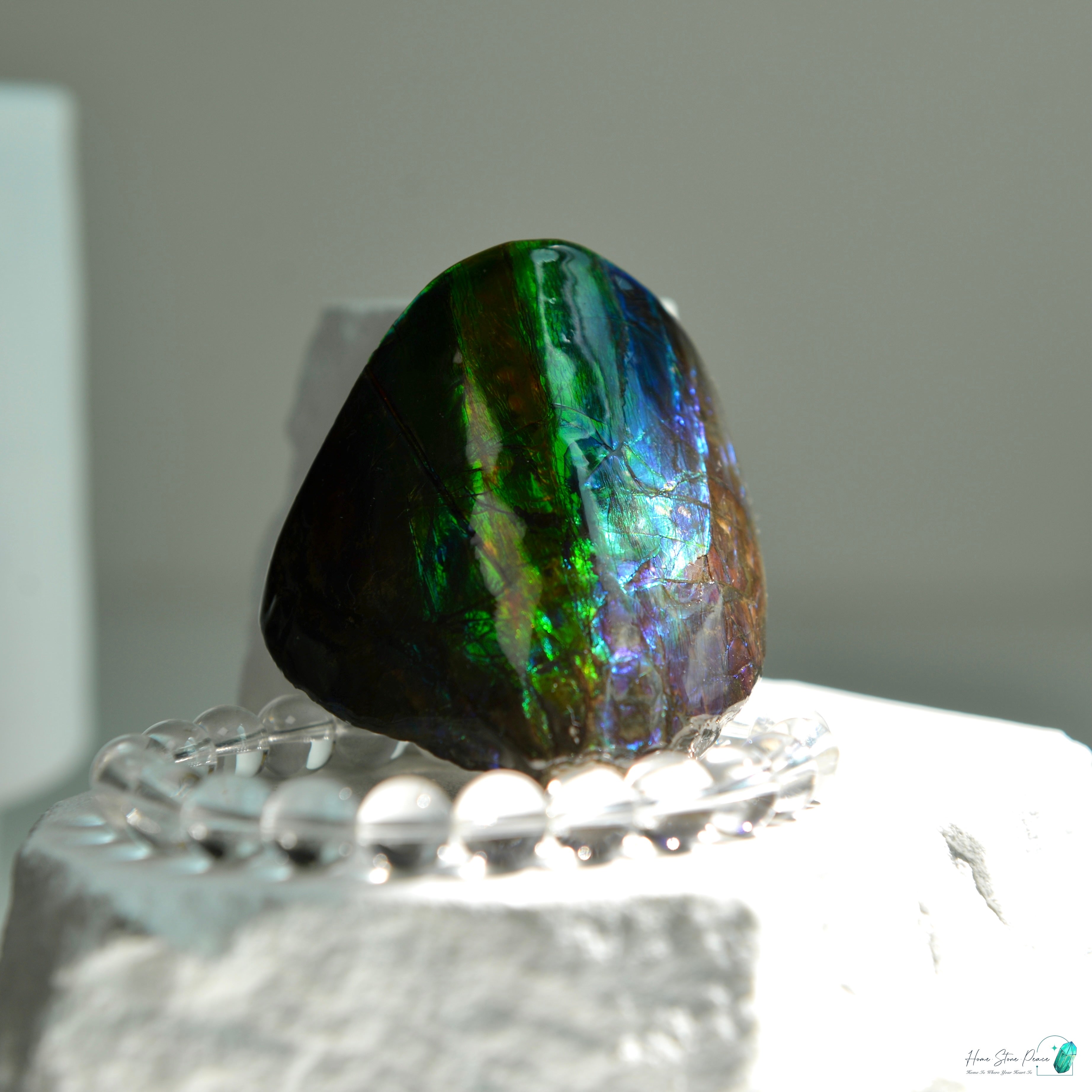 加拿大斑彩化石 Canadian Fossilized Ammonite